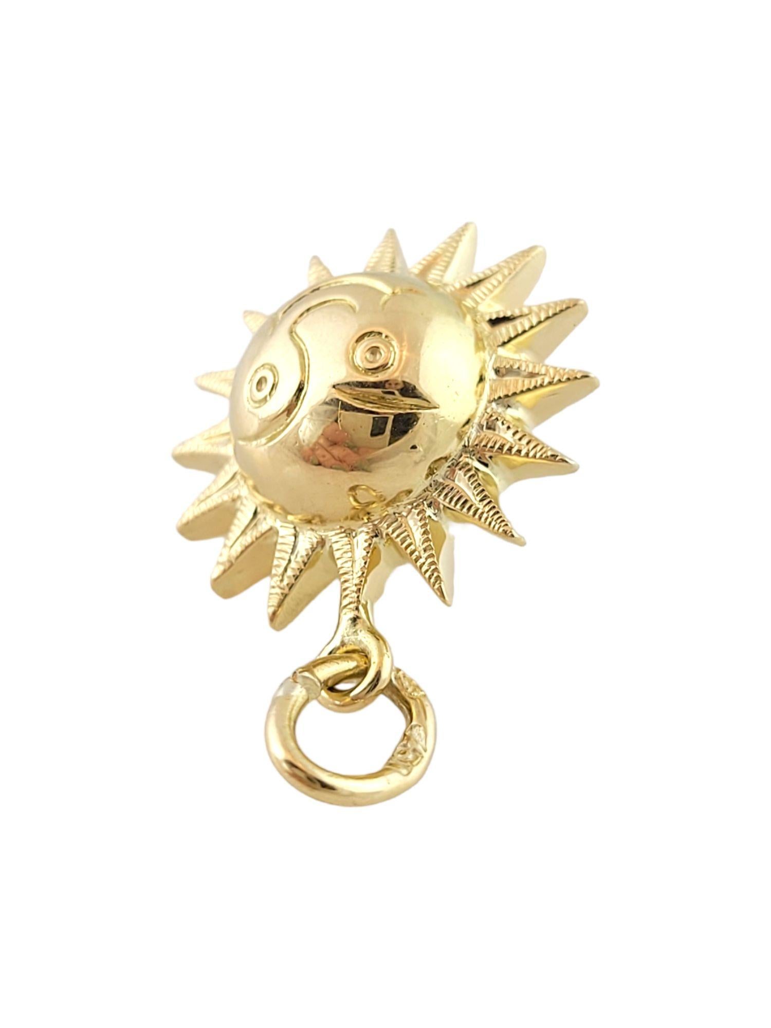 Vintage 18K Yellow Gold Sun Charm

This adorable 18K gold sun charm is sure to brighten your day!

Size: 20.5mm X 17.5mm X 10.5mm
Length w/ bail: 26.5mm

Weight: 3.7 g/ 2.3 dwt

Hallmark: 750

Very good condition, professionally polished.

Will come