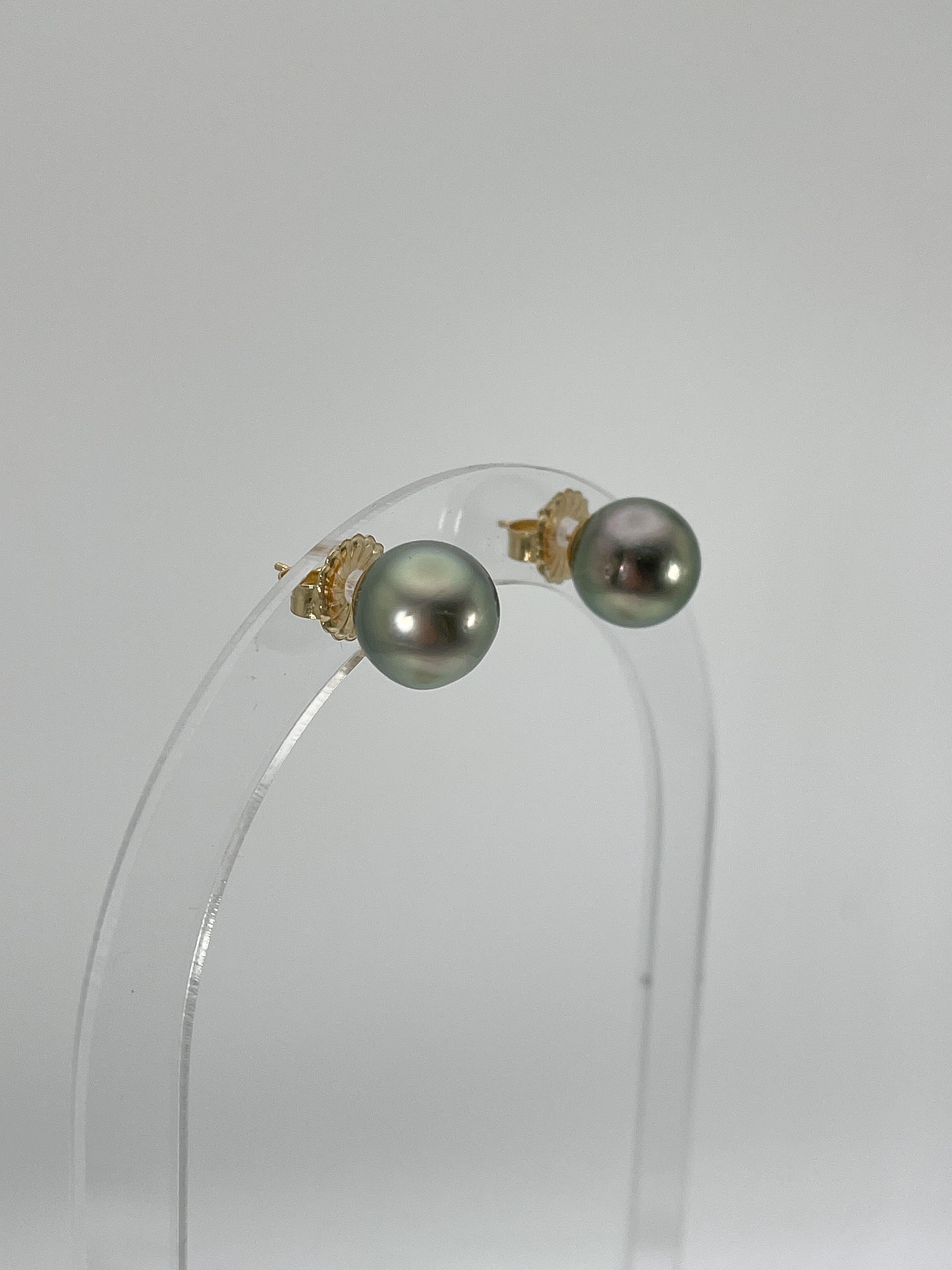 Ball Cut 18K Yellow Gold Tahitian Pearl Studs For Sale
