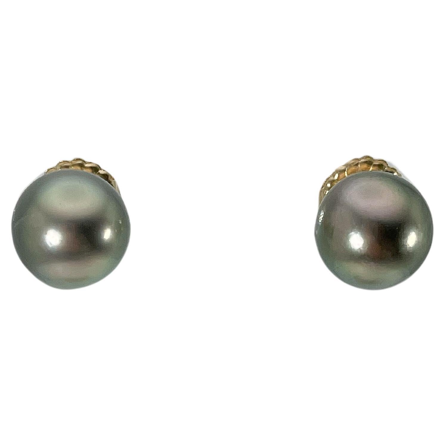 18K Yellow Gold Tahitian Pearl Studs For Sale
