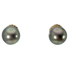 18K Yellow Gold Tahitian Pearl Studs