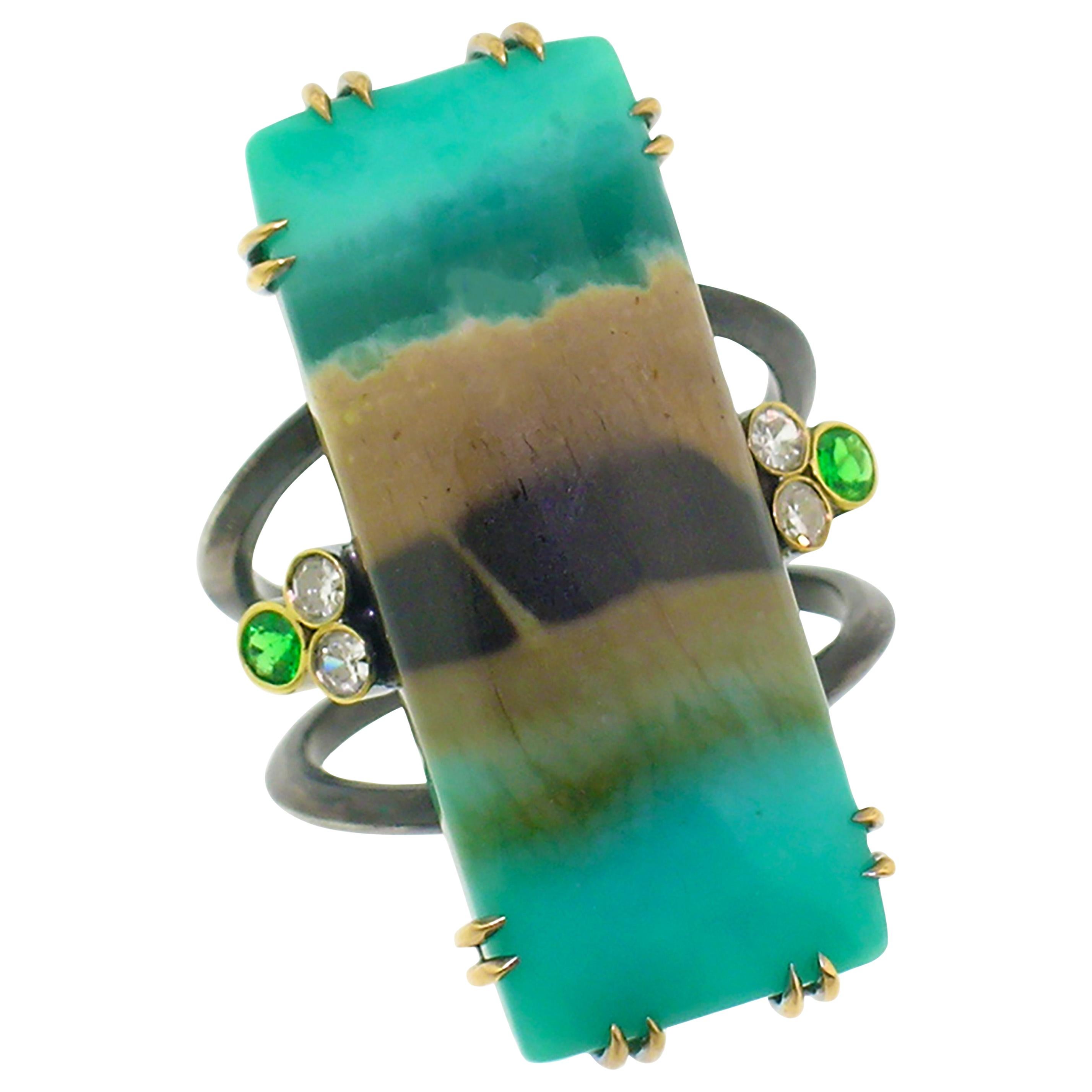 18kt & Sterling Shield Ring with Opalised Fossil Wood by Cynthia Scott