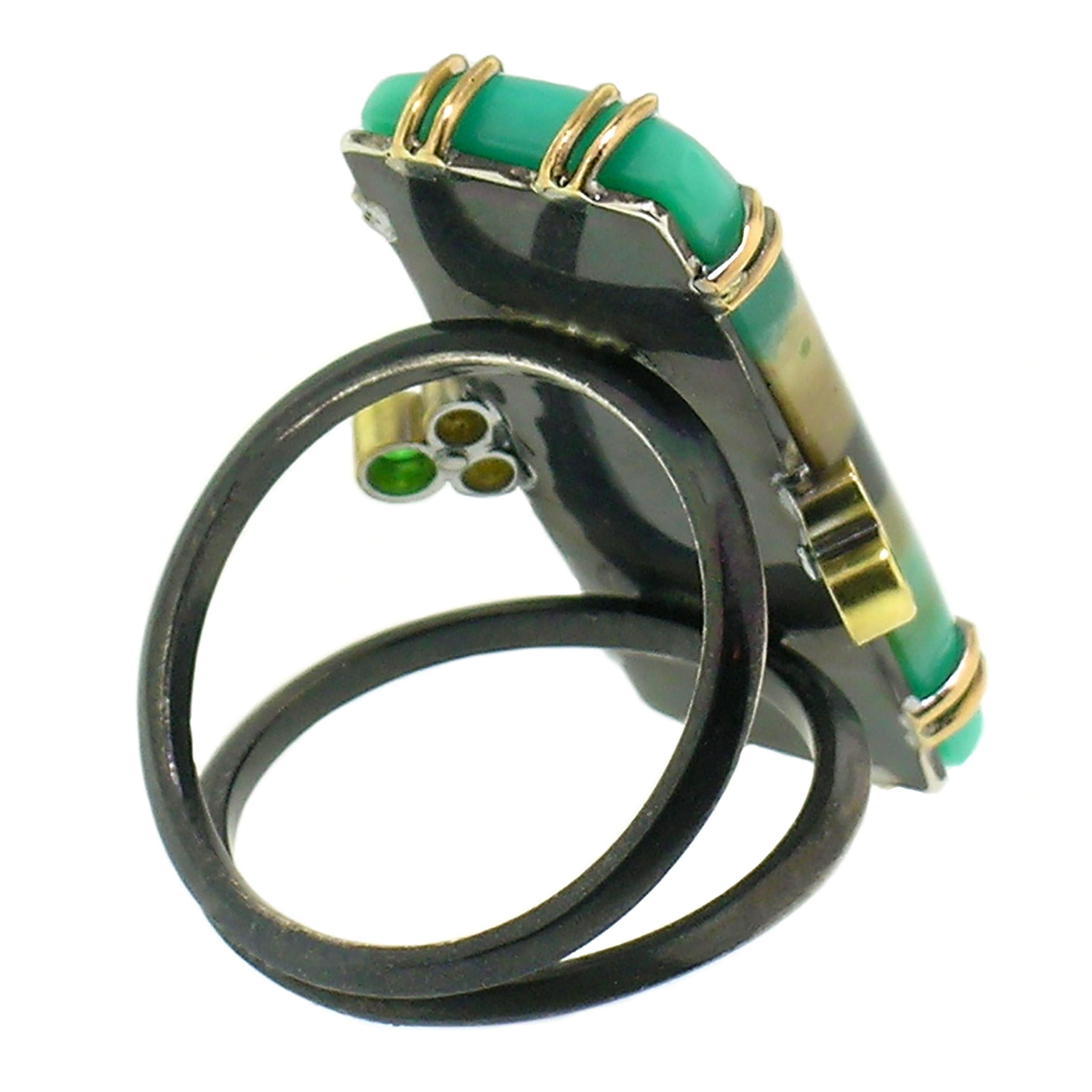 opalized fossil