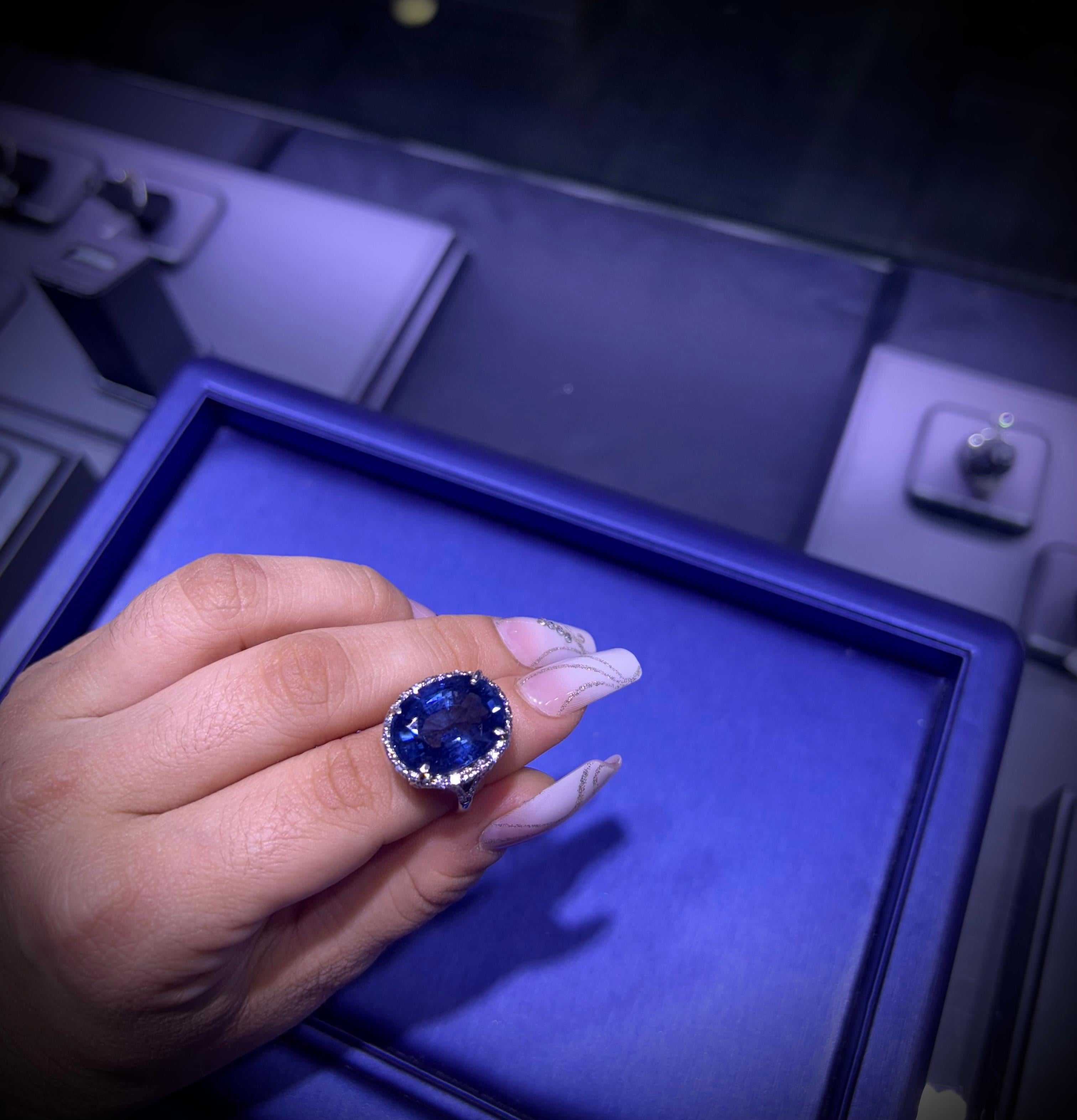 18 Karat Weißgold 18,41 Karat ovaler Saphir in der Mitte und 1 Karat natürliche Diamanten im Angebot 2
