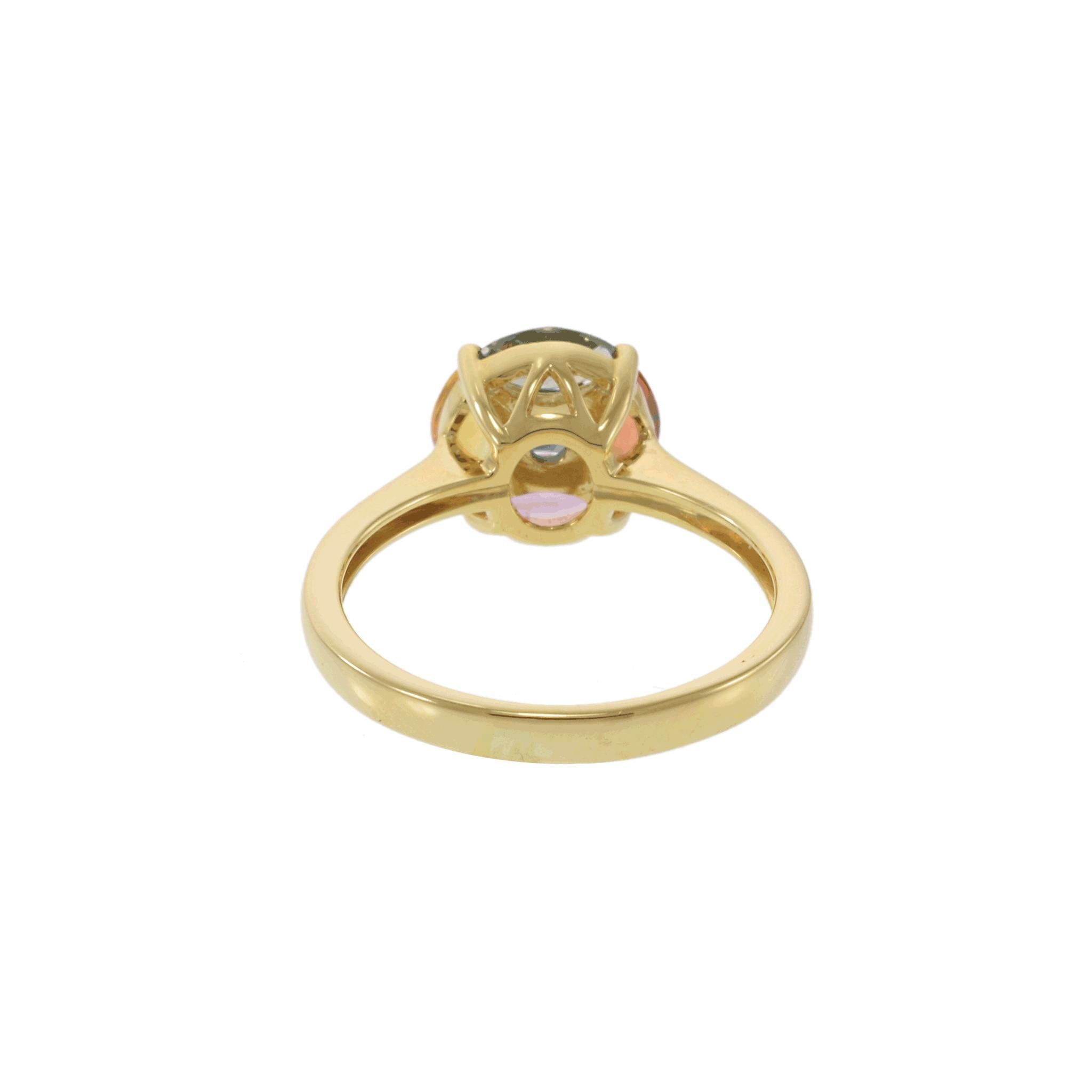 18KT Yellow Gold Multi-Color Sapphire Circle Ring For Sale 2