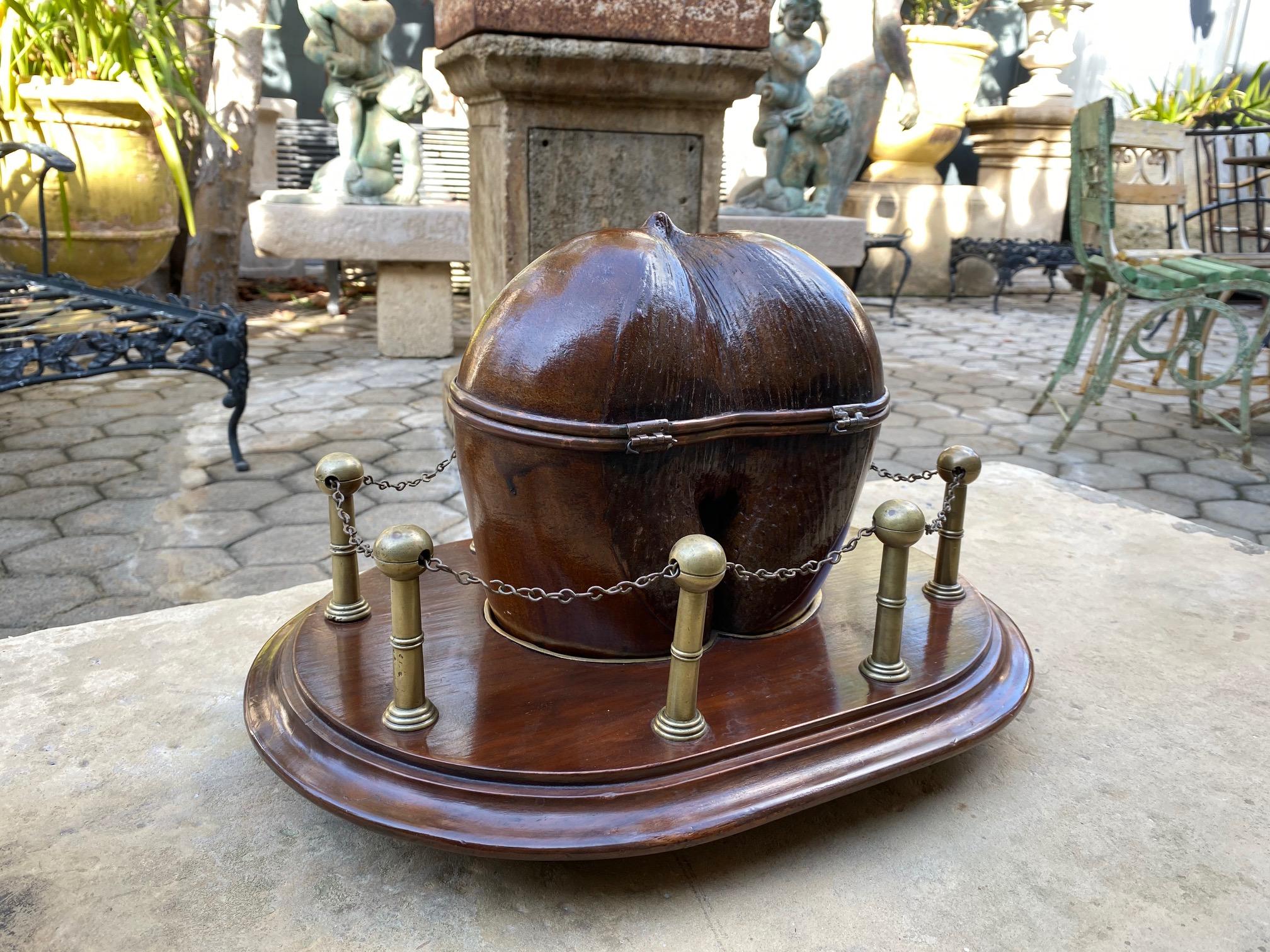 Brass Hand Carved Crafted Fruit Wood Coco Georgian Victorian Tea Caddy Centerpiece LA For Sale