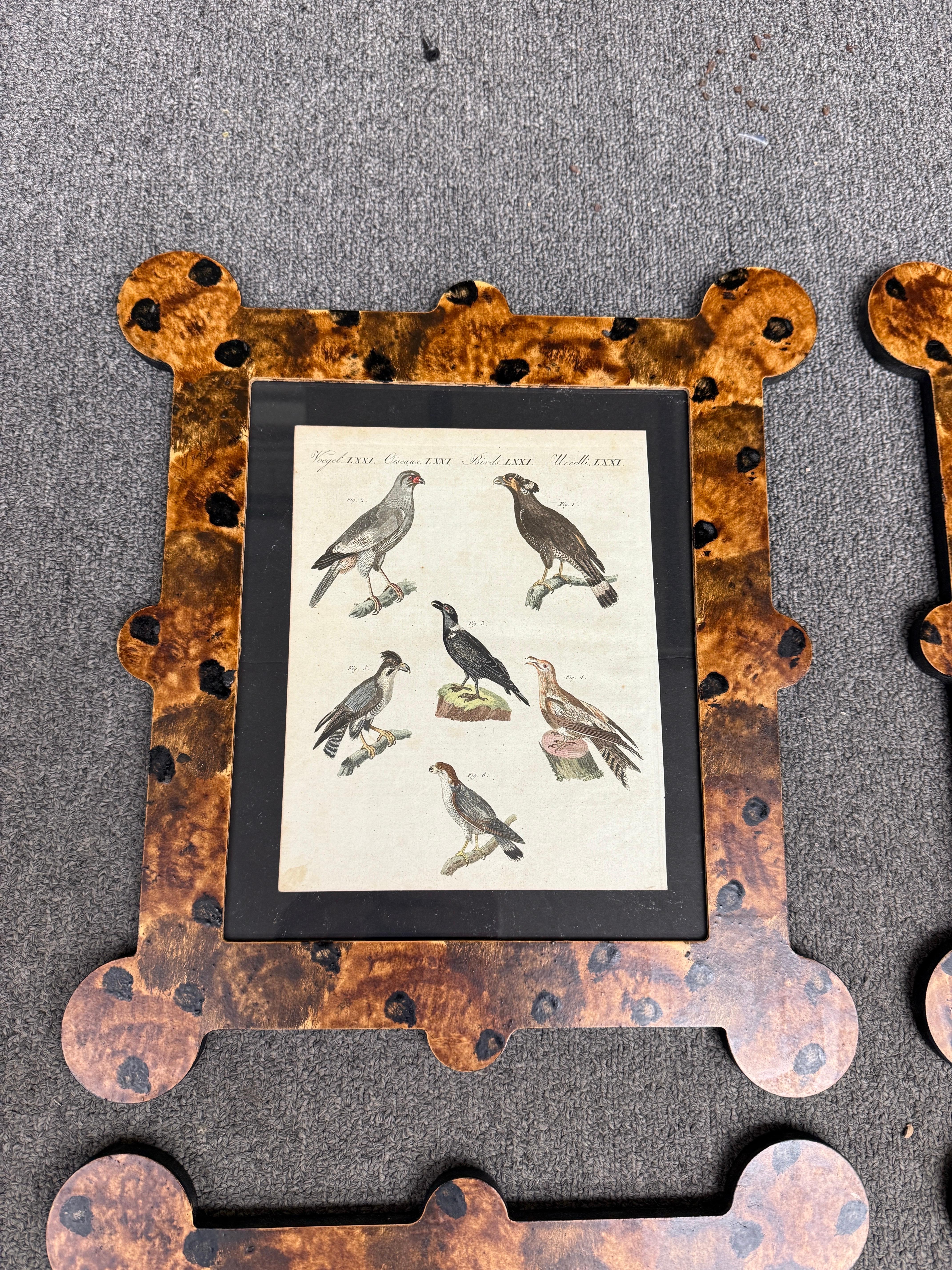 Ensemble de 6 gravures d'oiseaux du 18e-19e siècle présentées dans des cadres peints à la main en fausse tortue par notre société sœur, the fabulous things.  