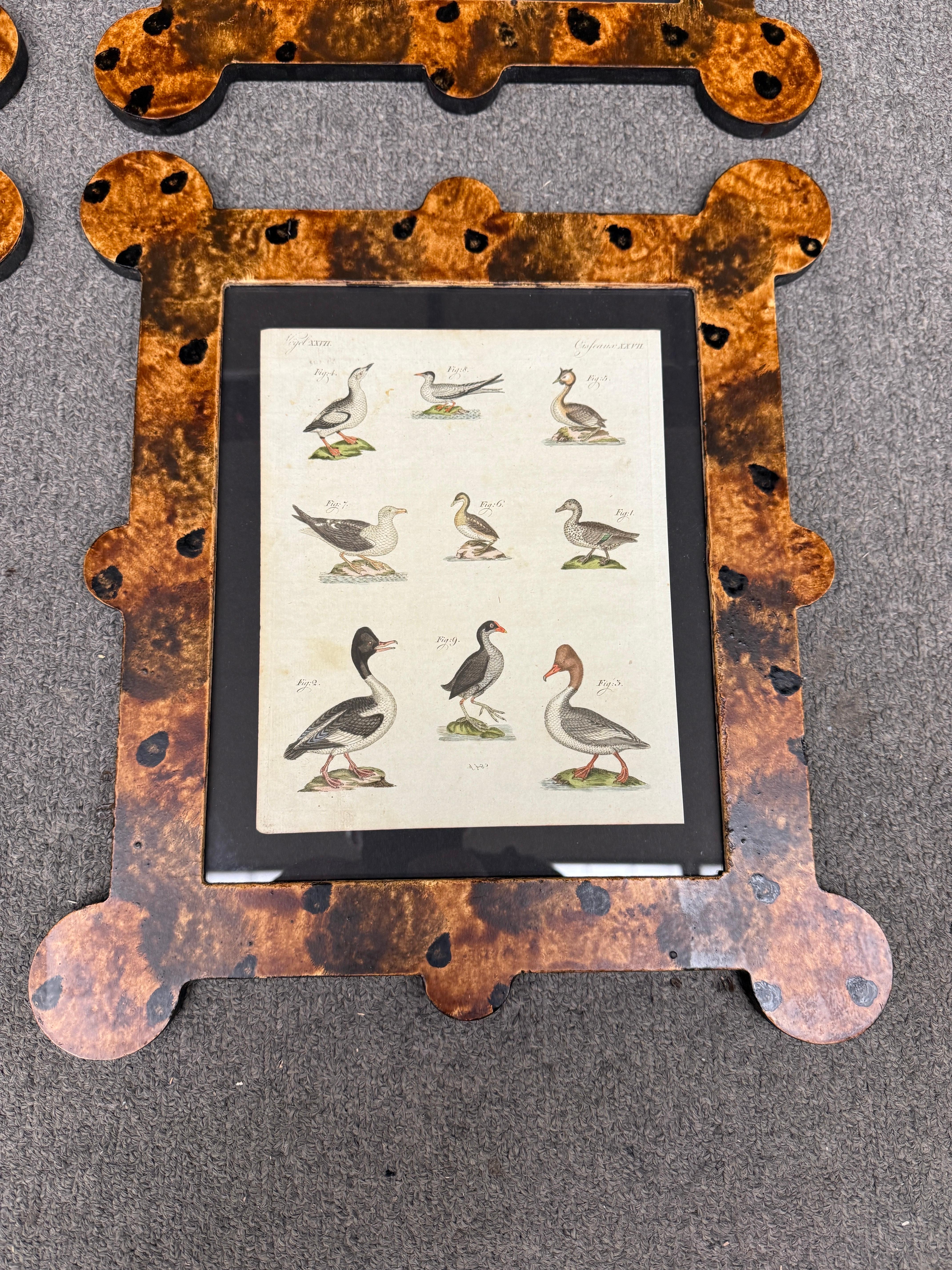Gravures d'oiseaux du 18e-19e siècle dans des cadres peints à la main et finis à la tortue Bon état - En vente à Richmond, VA