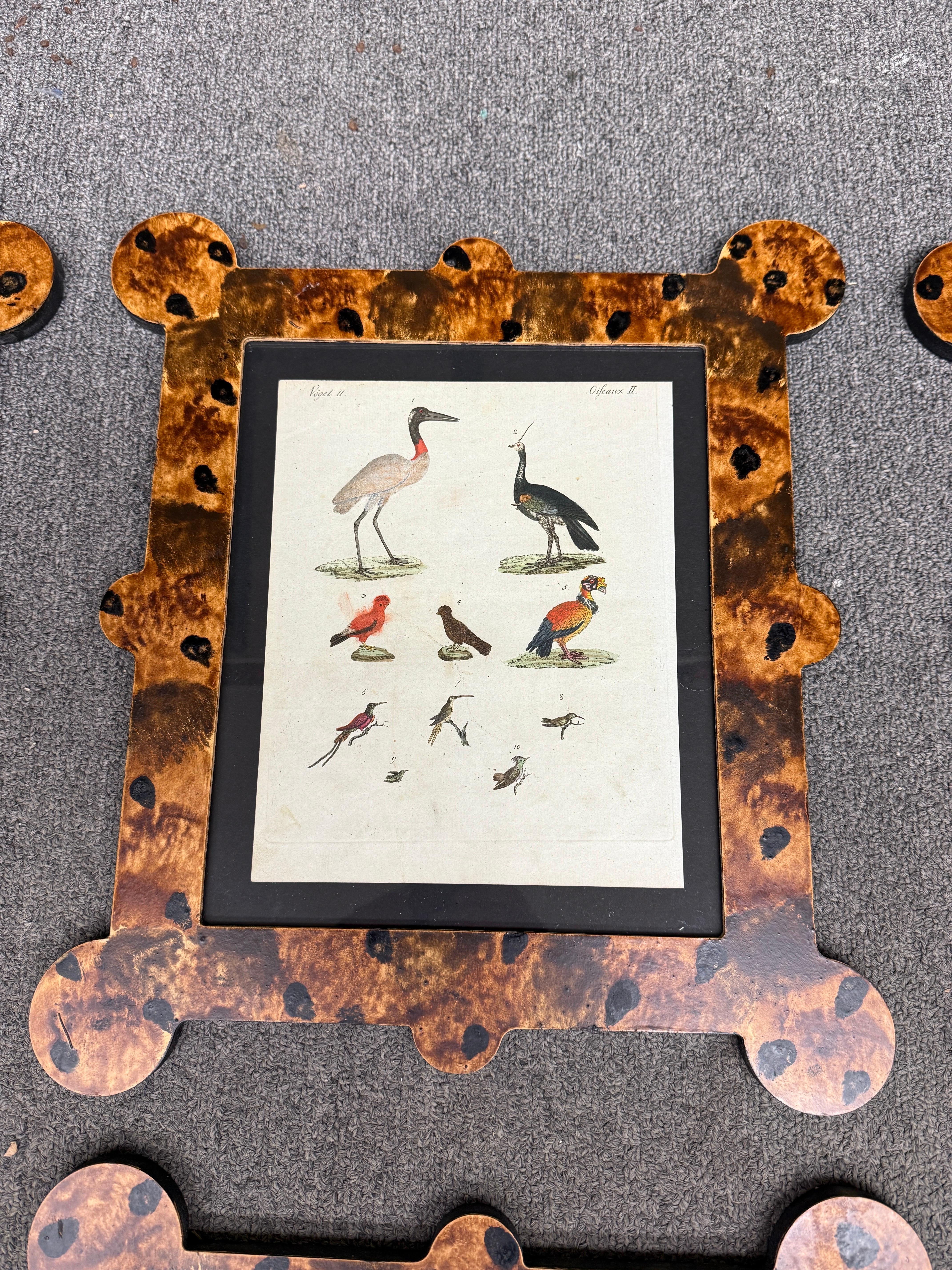 XIXe siècle Gravures d'oiseaux du 18e-19e siècle dans des cadres peints à la main et finis à la tortue en vente