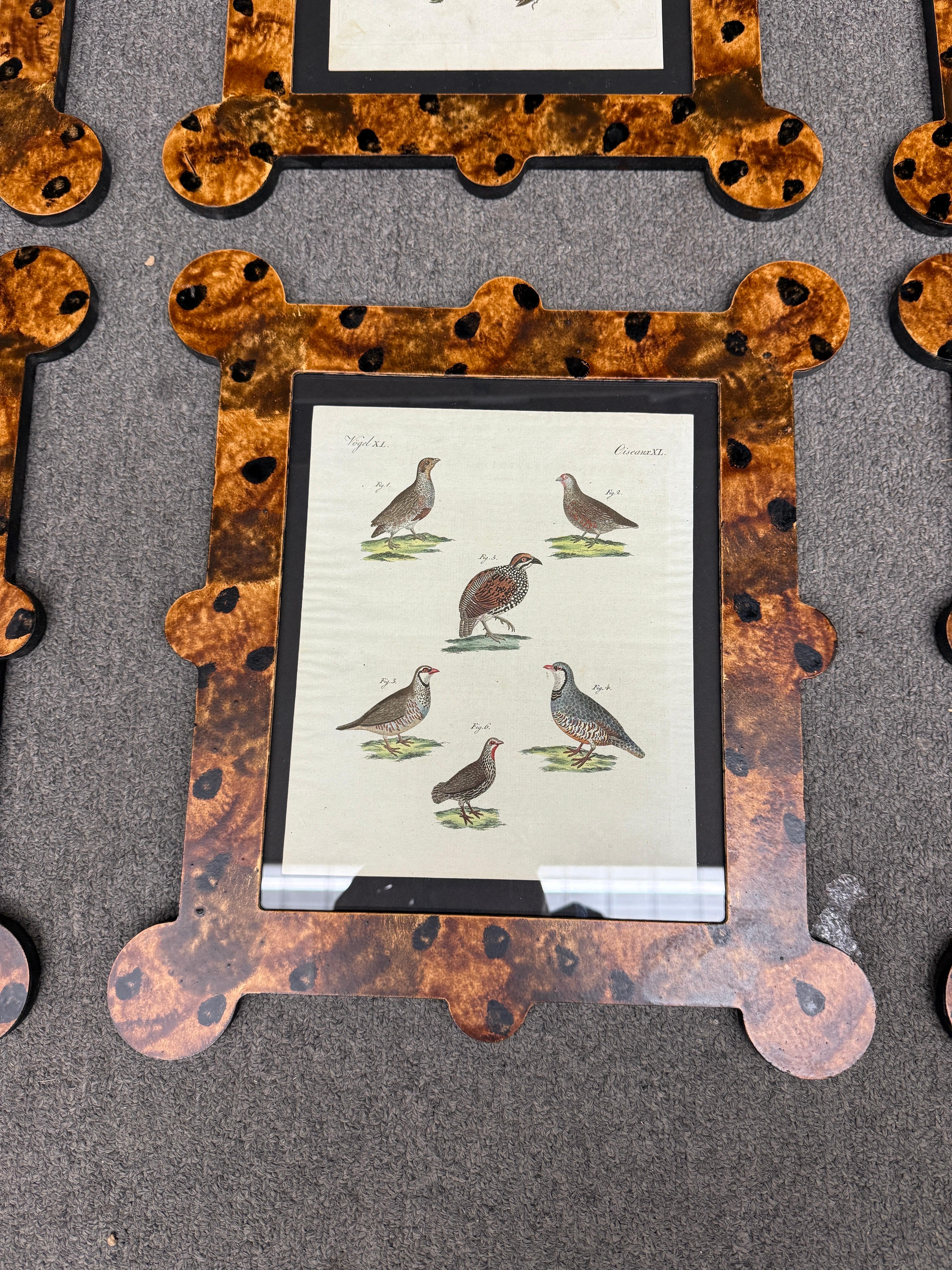 Bois Gravures d'oiseaux du 18e-19e siècle dans des cadres peints à la main et finis à la tortue en vente