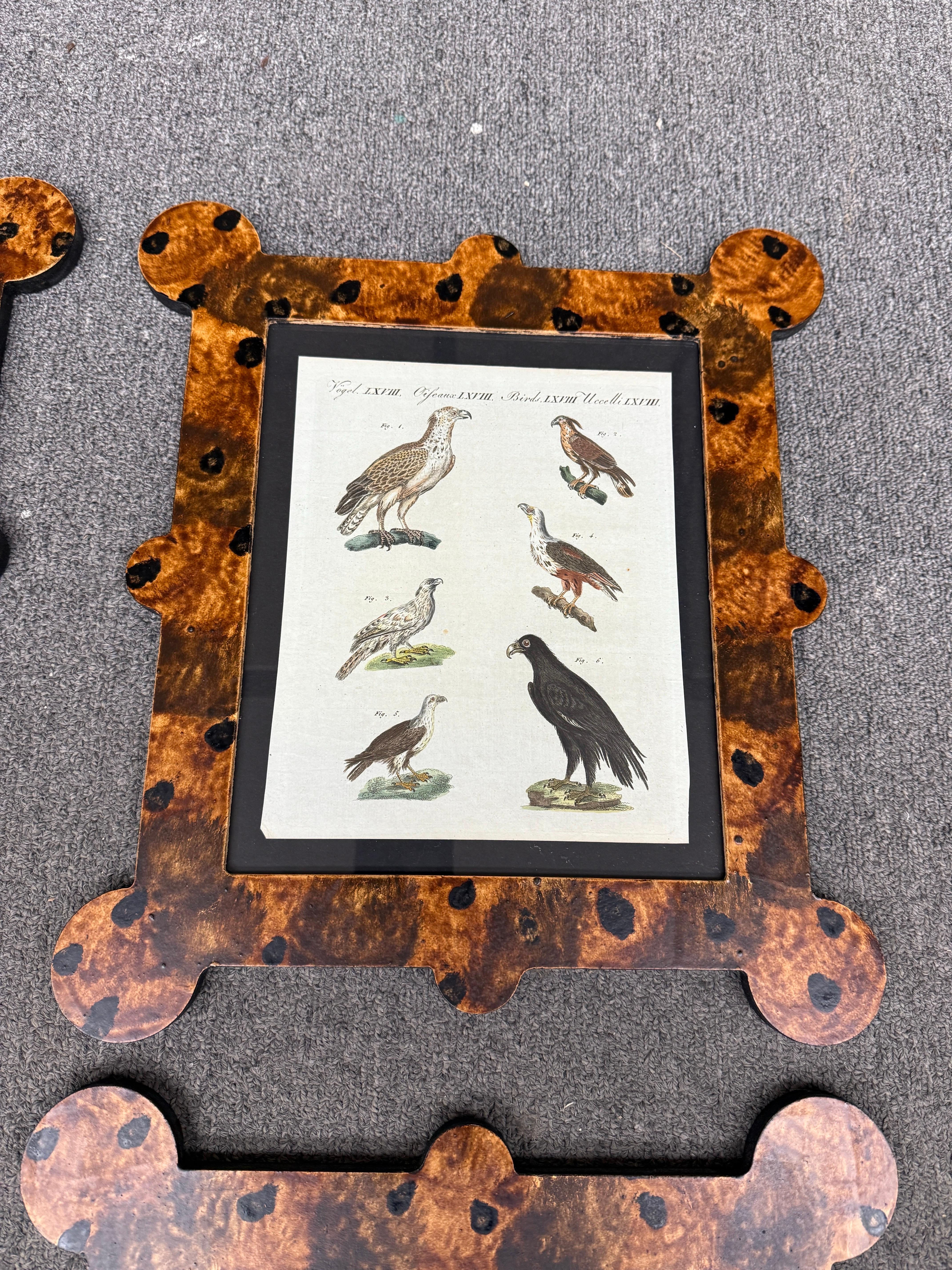 Gravures d'oiseaux du 18e-19e siècle dans des cadres peints à la main et finis à la tortue en vente 1