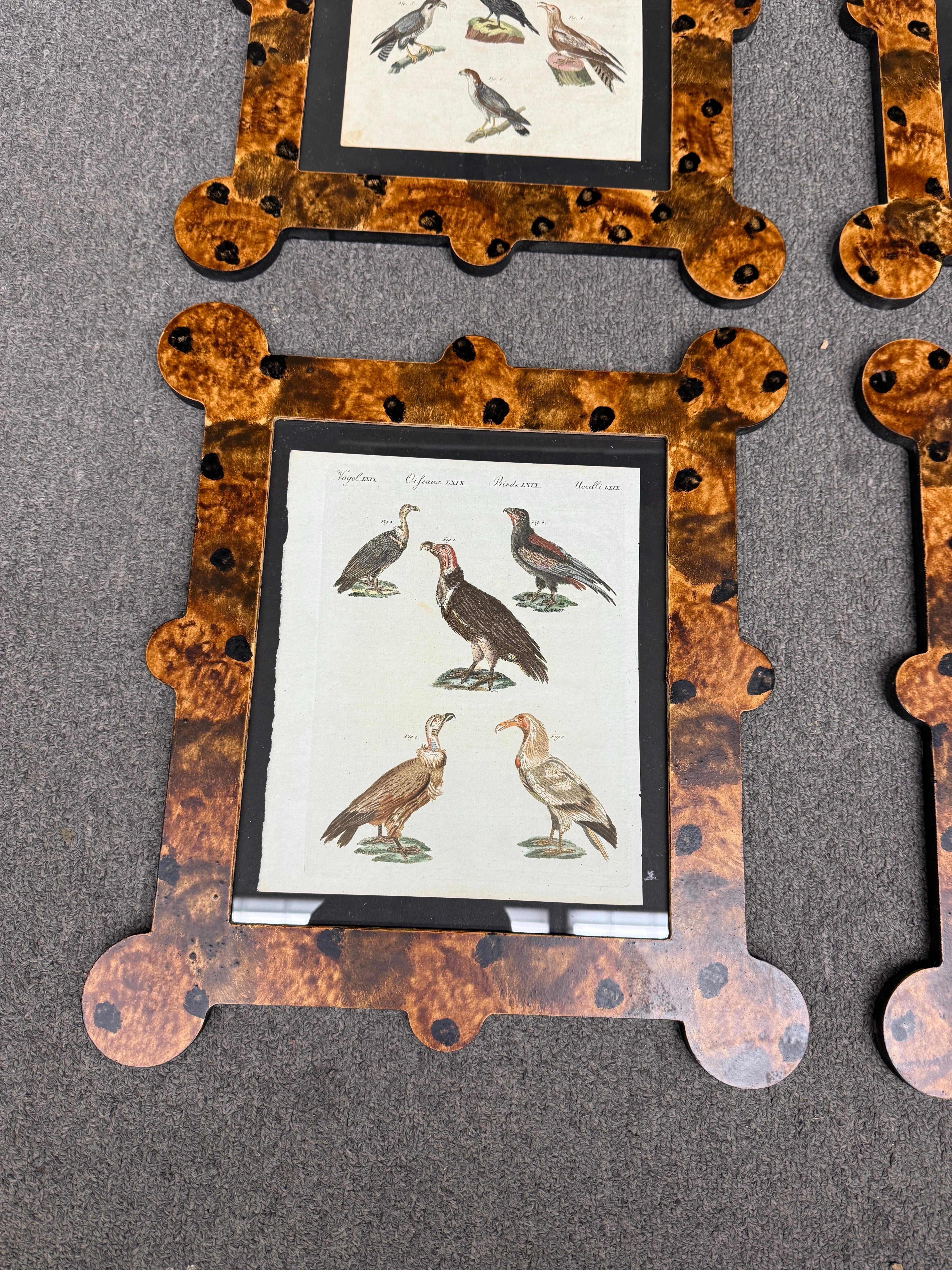 Gravures d'oiseaux du 18e-19e siècle dans des cadres peints à la main et finis à la tortue en vente 2
