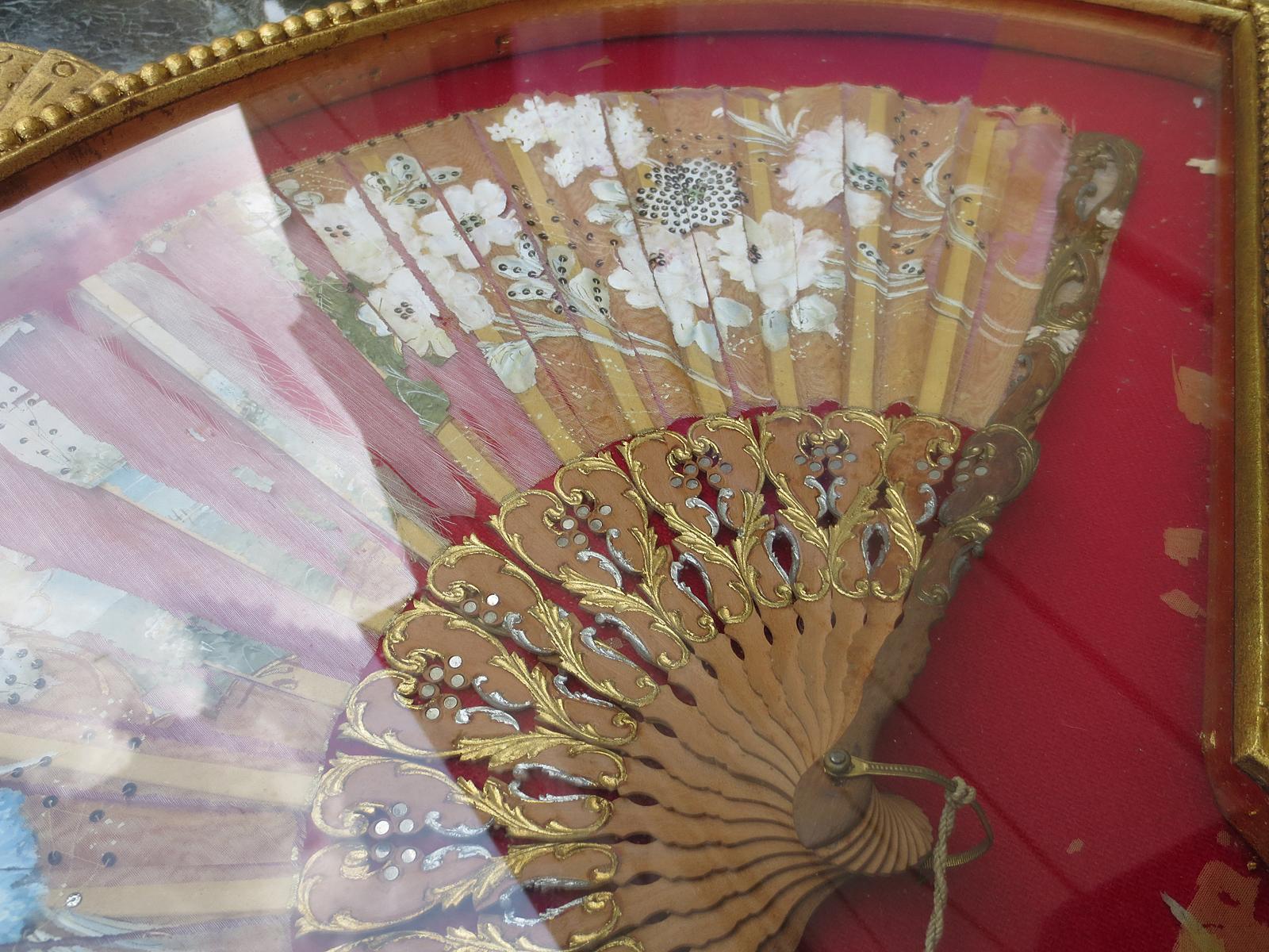 hand fan display case