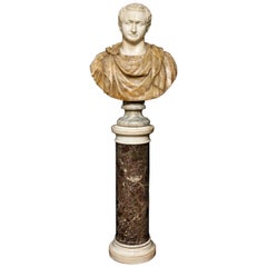 18th-19th Century Neoclassical Multi-Marble Bust of Roman Emperor Titus Domitian