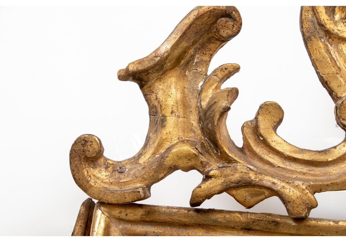 Gesso A.I.C., 18ème siècle, miroir sculpté et doré avec écusson en forme de buste. en vente