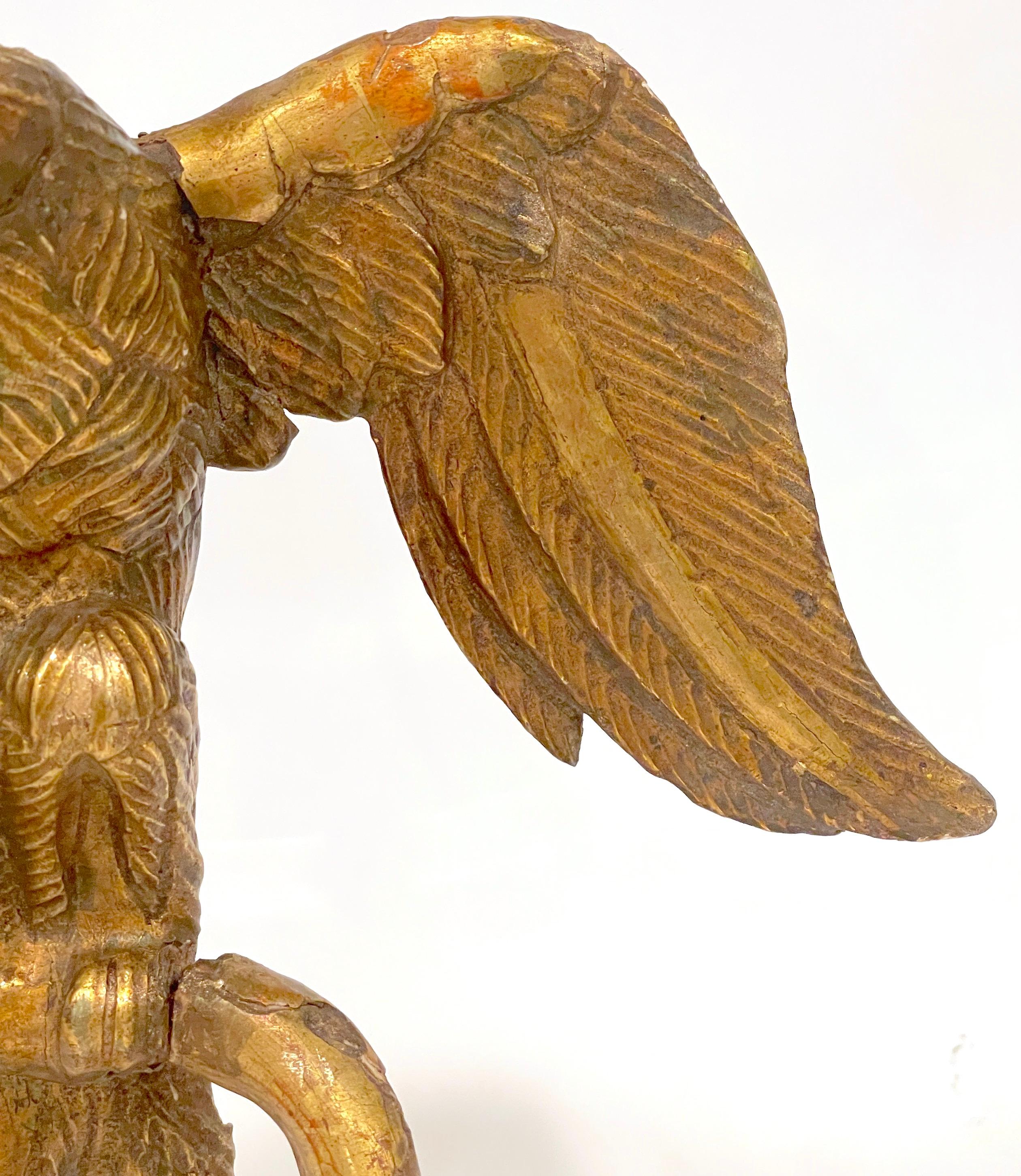 18th Century 18th C. English Carved Giltwood Eagle Facing Left, on Lucite Pedestal Base For Sale