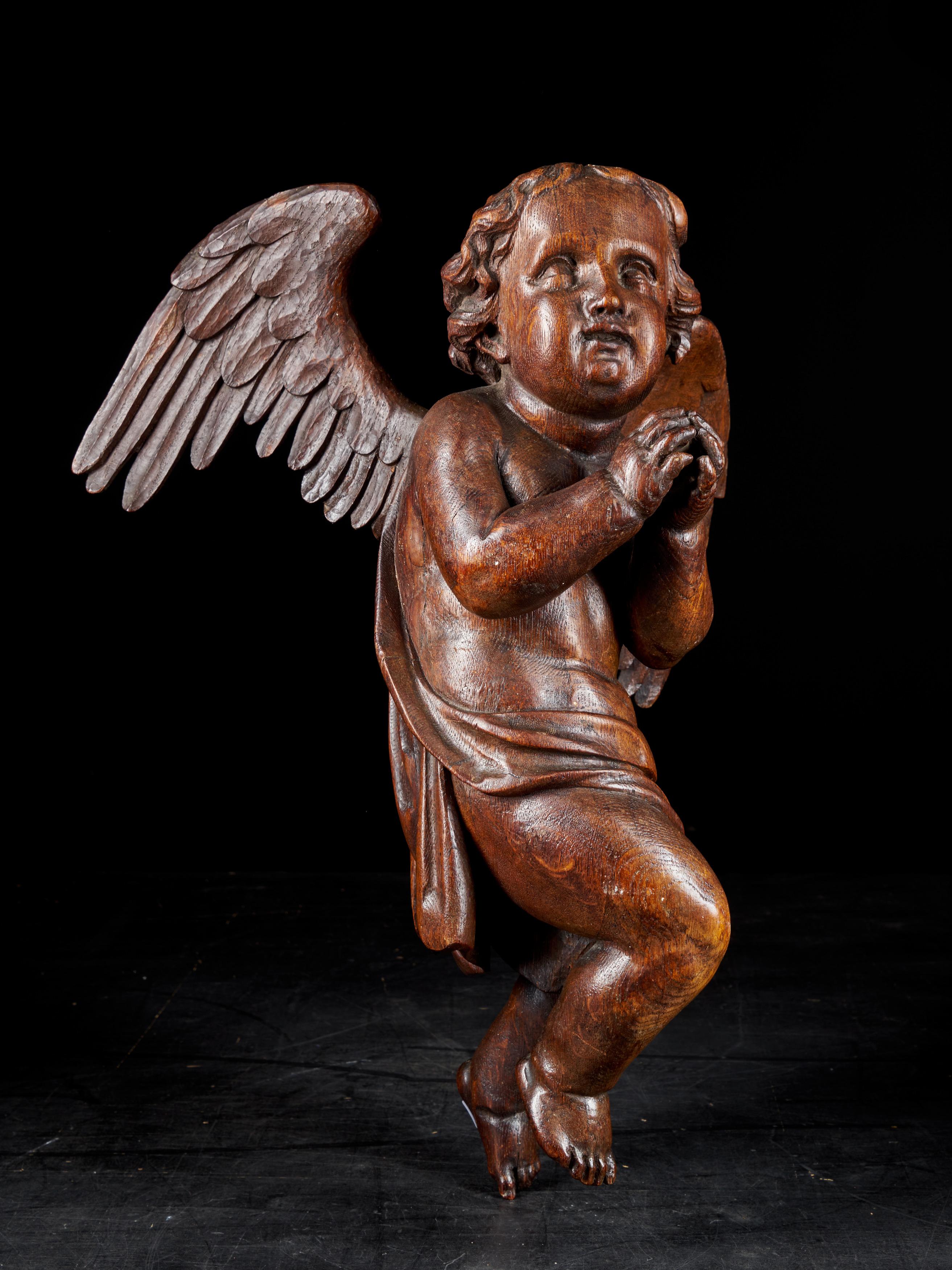 Belgian 18th Century Flemish School, Baroque Angel Sculpture or Butti, Carved in Oak