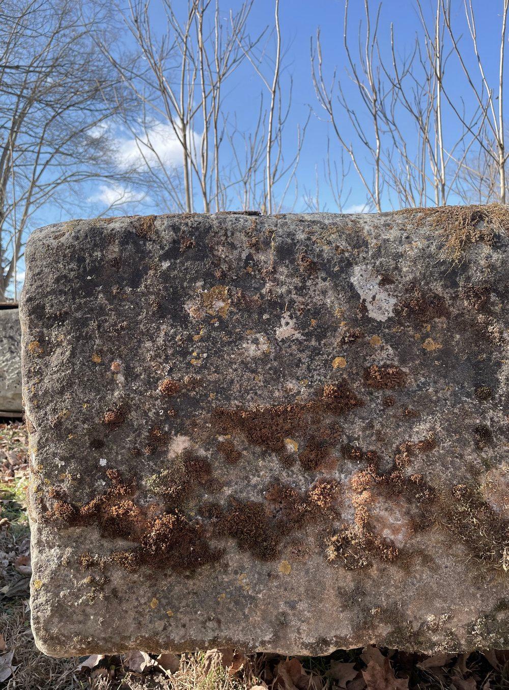 18th C French Hand-Carved Limestone Trough with Mossy Patina 7