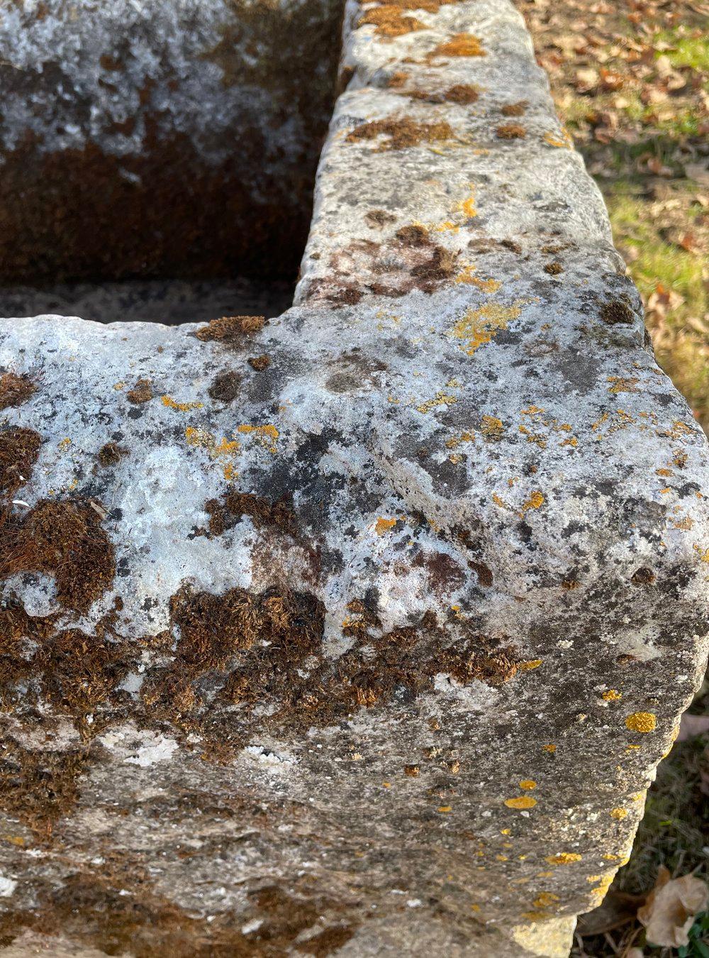 18th C French Hand-Carved Limestone Trough with Mossy Patina 3