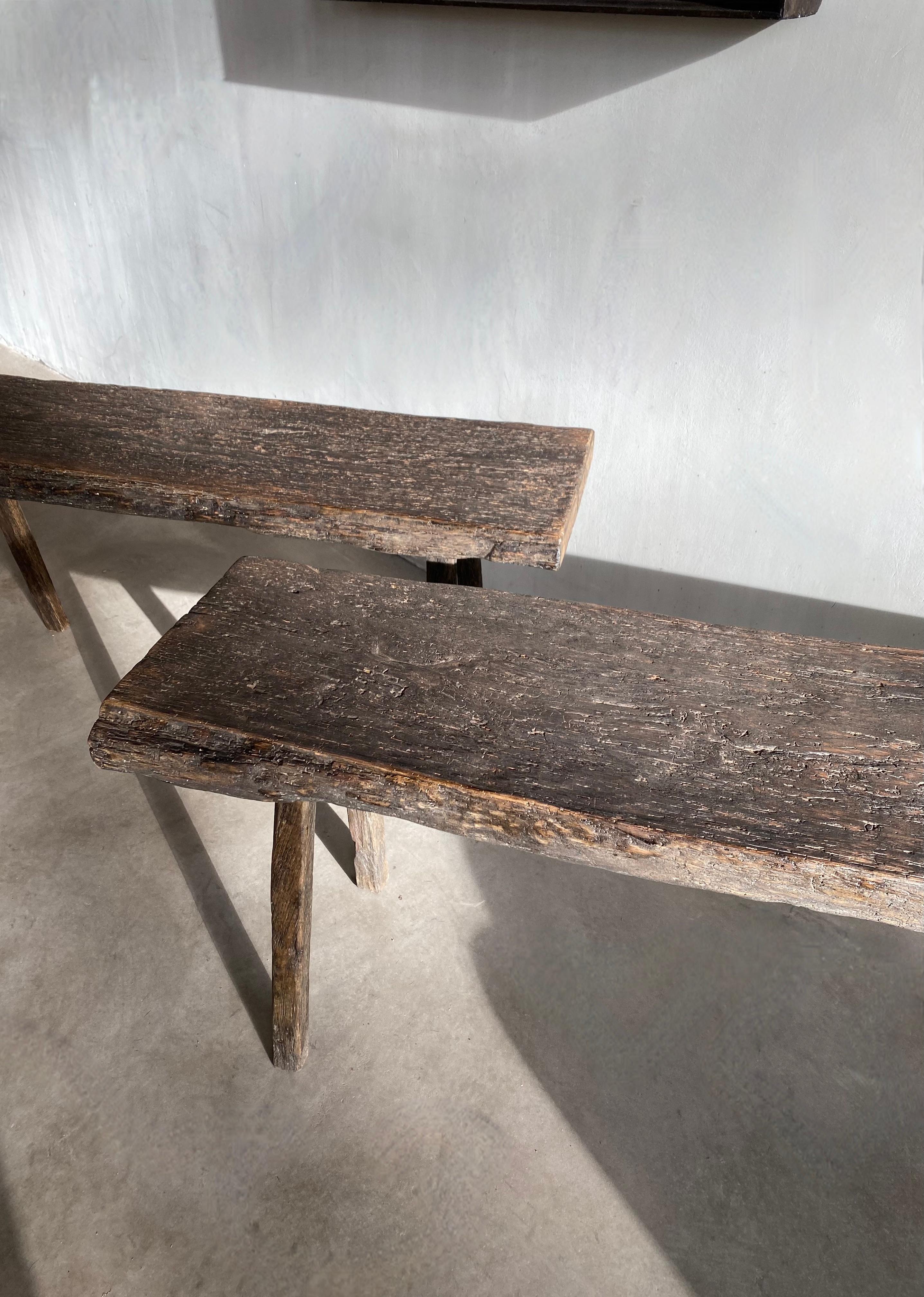 Chêne A.C.Oak C. OAK en vente