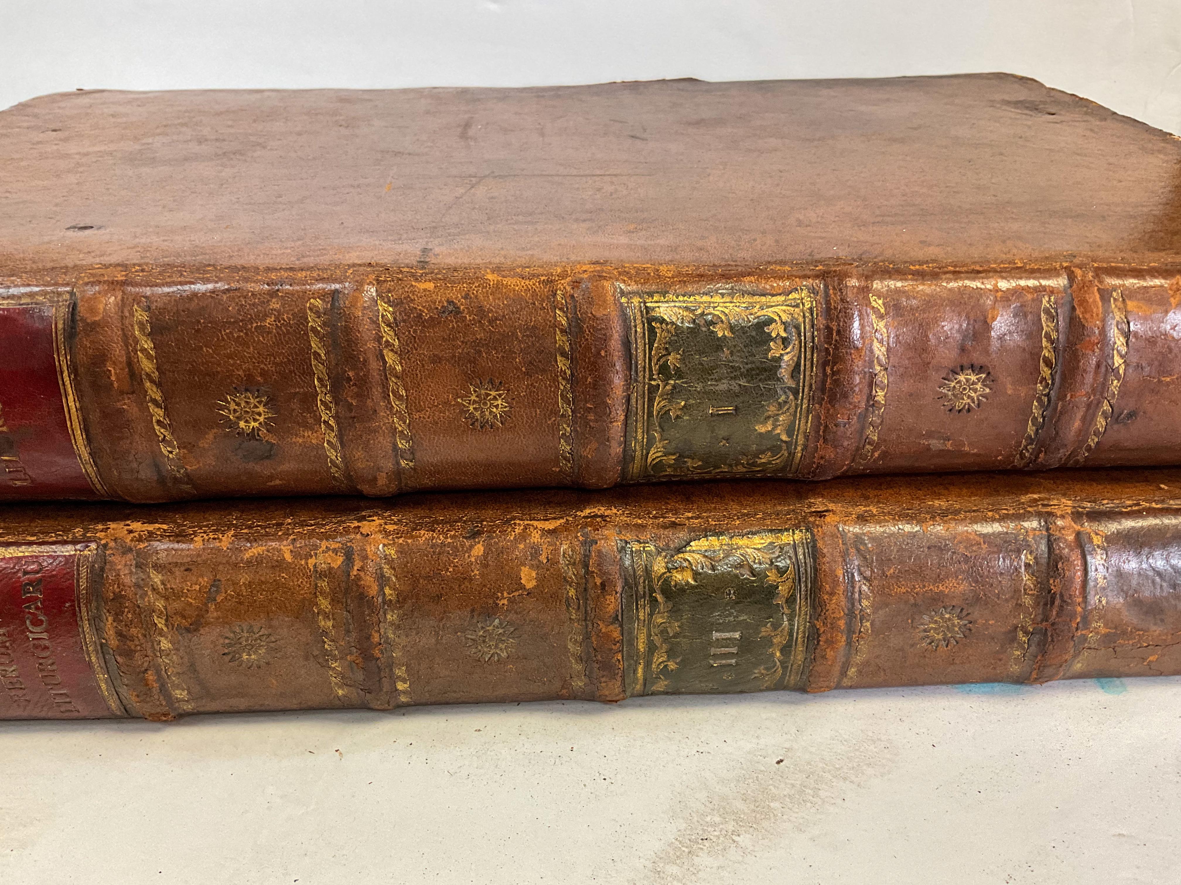 George III 18th-C. Georgian Large Leather & Faux Marble Latin Religious Books, S/2 Library For Sale