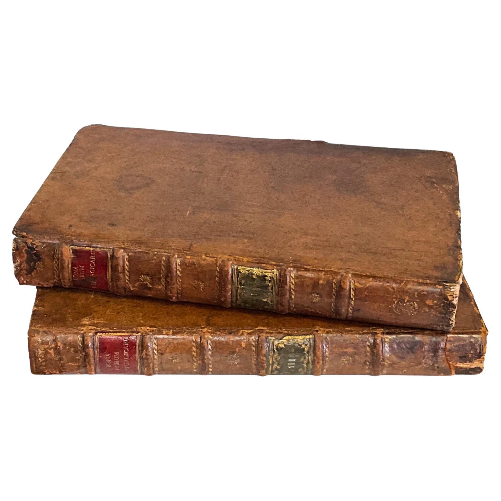 18th-C. Georgian Large Leather & Faux Marble Latin Religious Books, S/2 Library For Sale