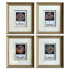 Antique  18th C. Italian Architectural Engravings of Rosettes by CarloAntonini Set of 4