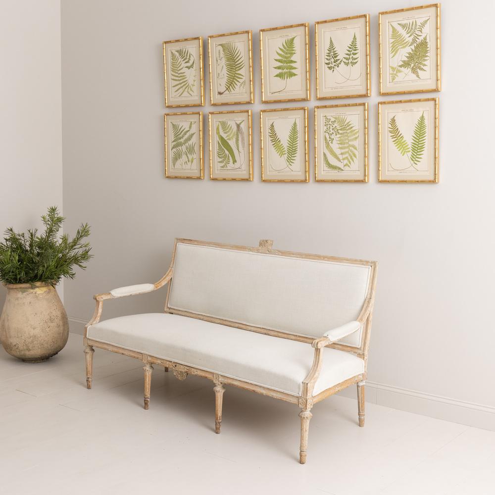 A beautiful Swedish sofa bench from the Gustavian period dry scraped to it's original patina. The sofa frame is adorned with a lovely leaf motif and rests upon tapered and fluted legs. Upholstered in white linen some time ago.