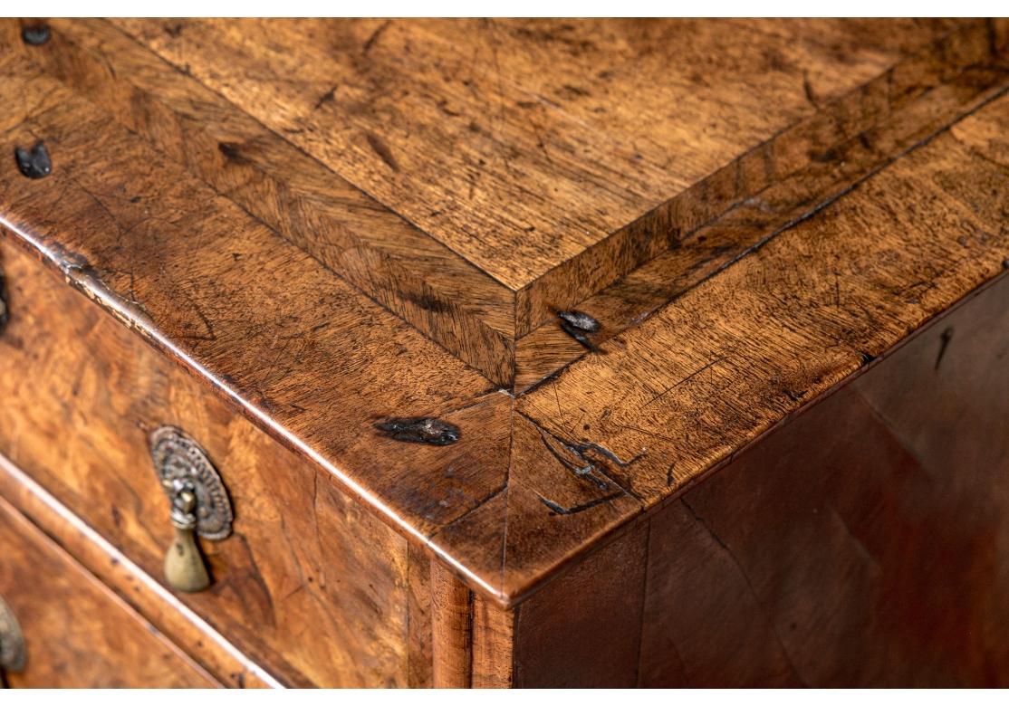 18th C. William And Mary Style Burl Chest 5