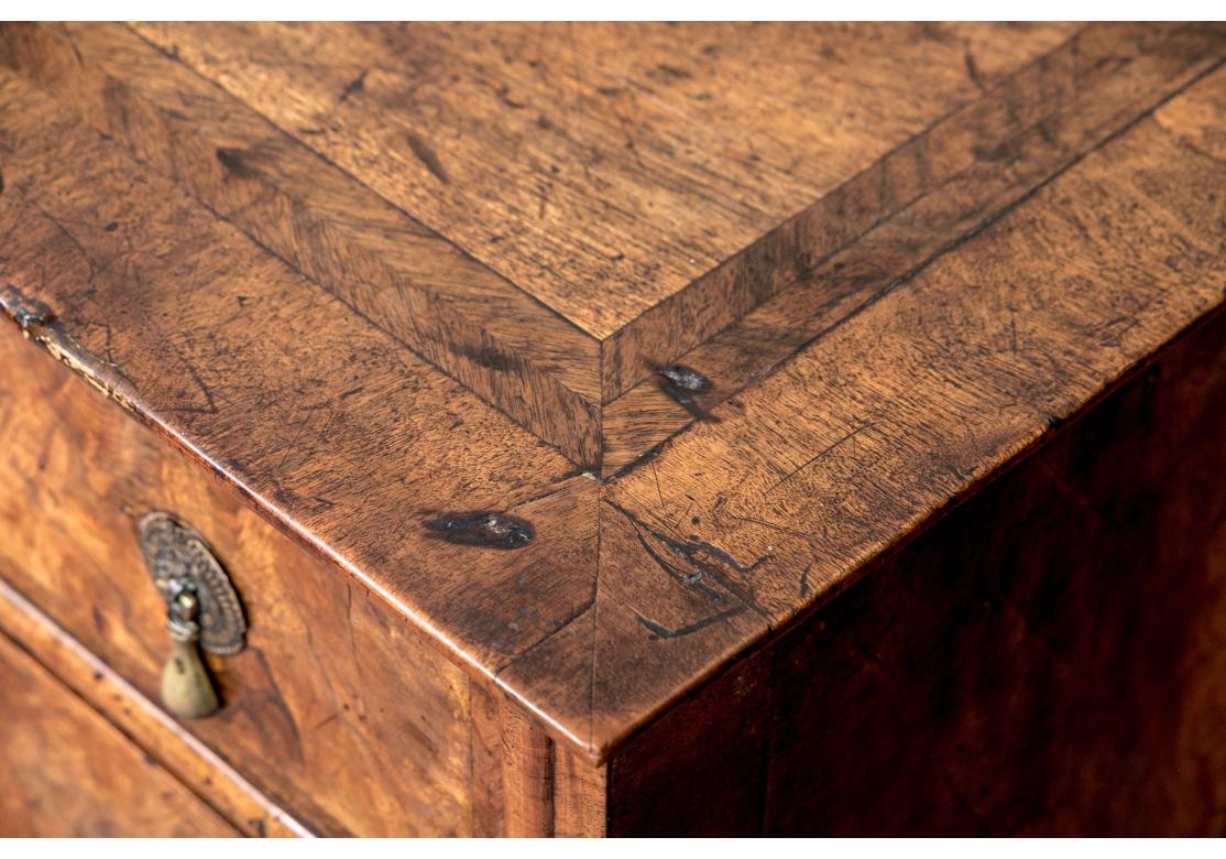 18th C. William And Mary Style Burl Chest 7
