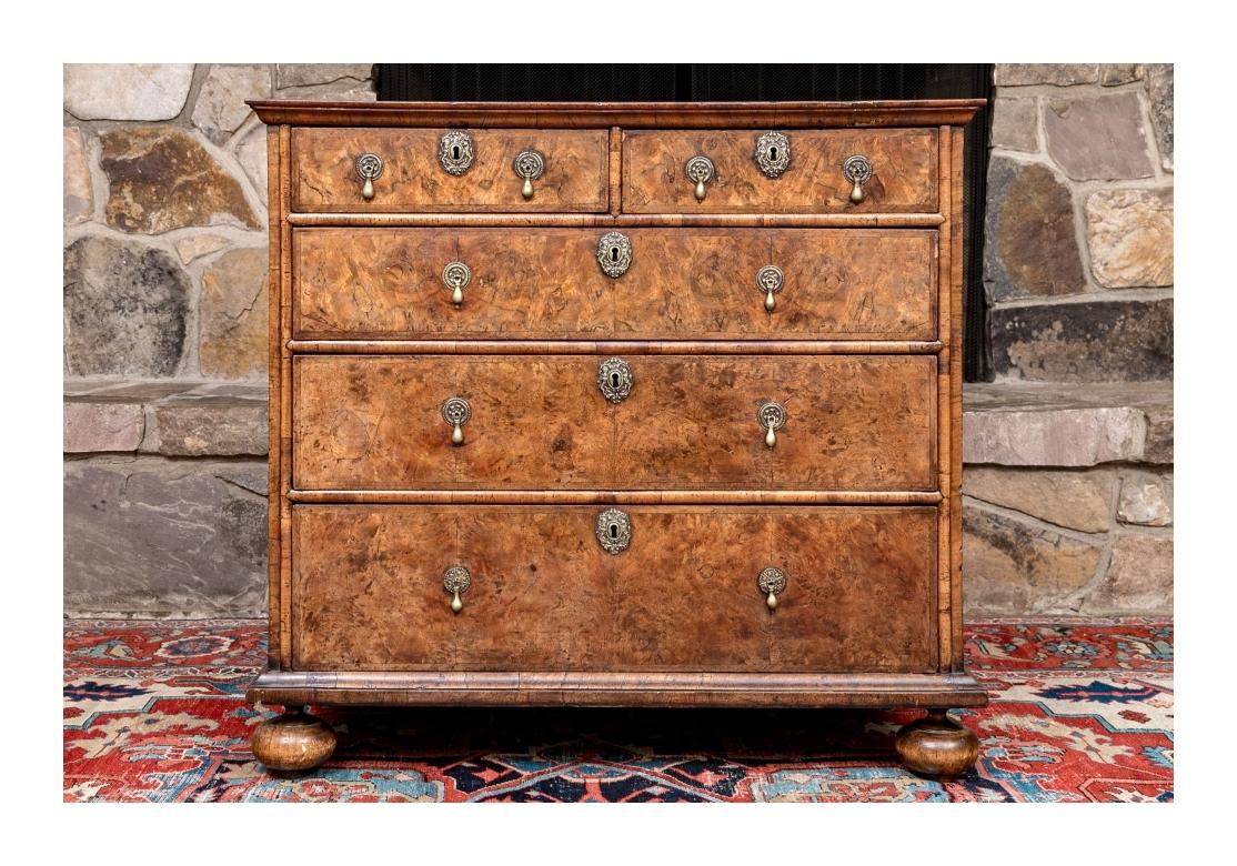 18th C. William And Mary Style Burl Chest 11