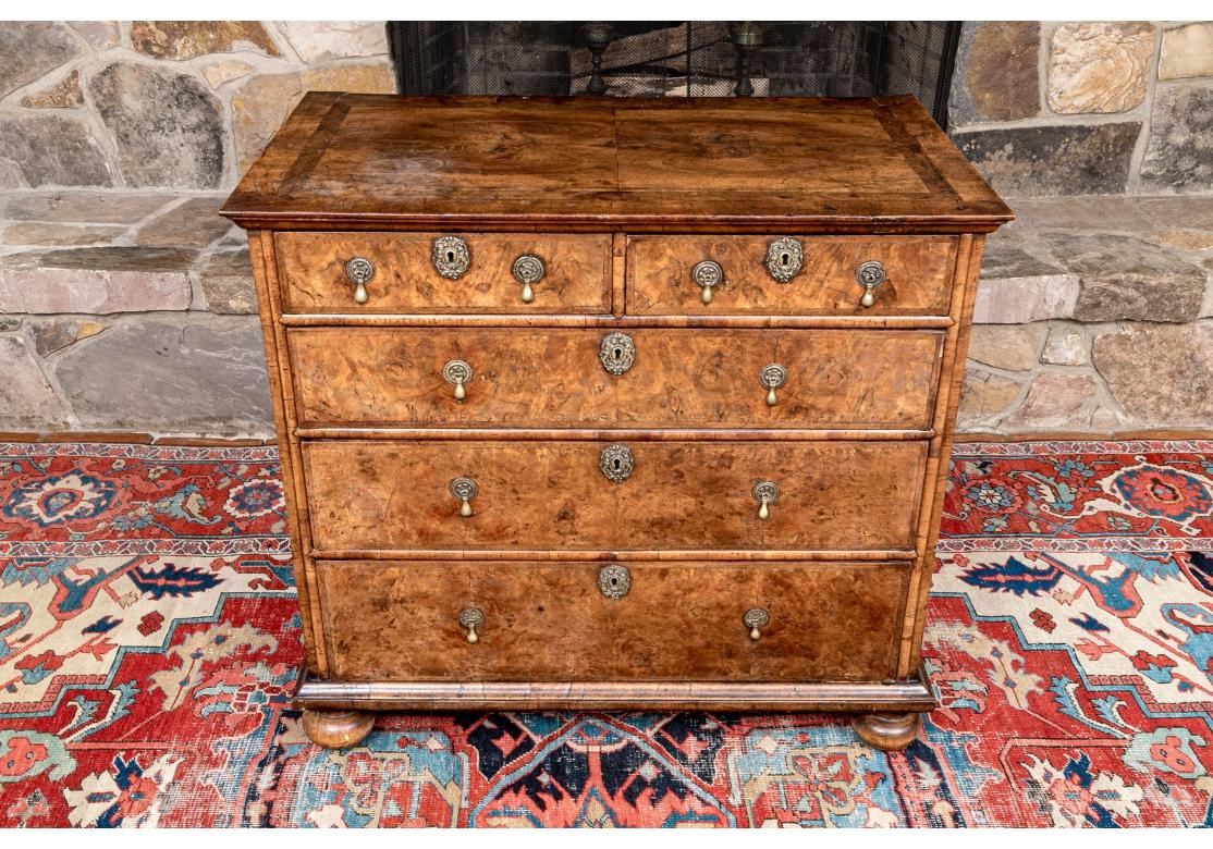 William and Mary 18th C. William And Mary Style Burl Chest