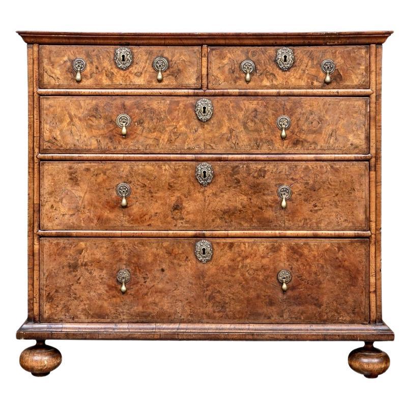 18th C. William And Mary Style Burl Chest