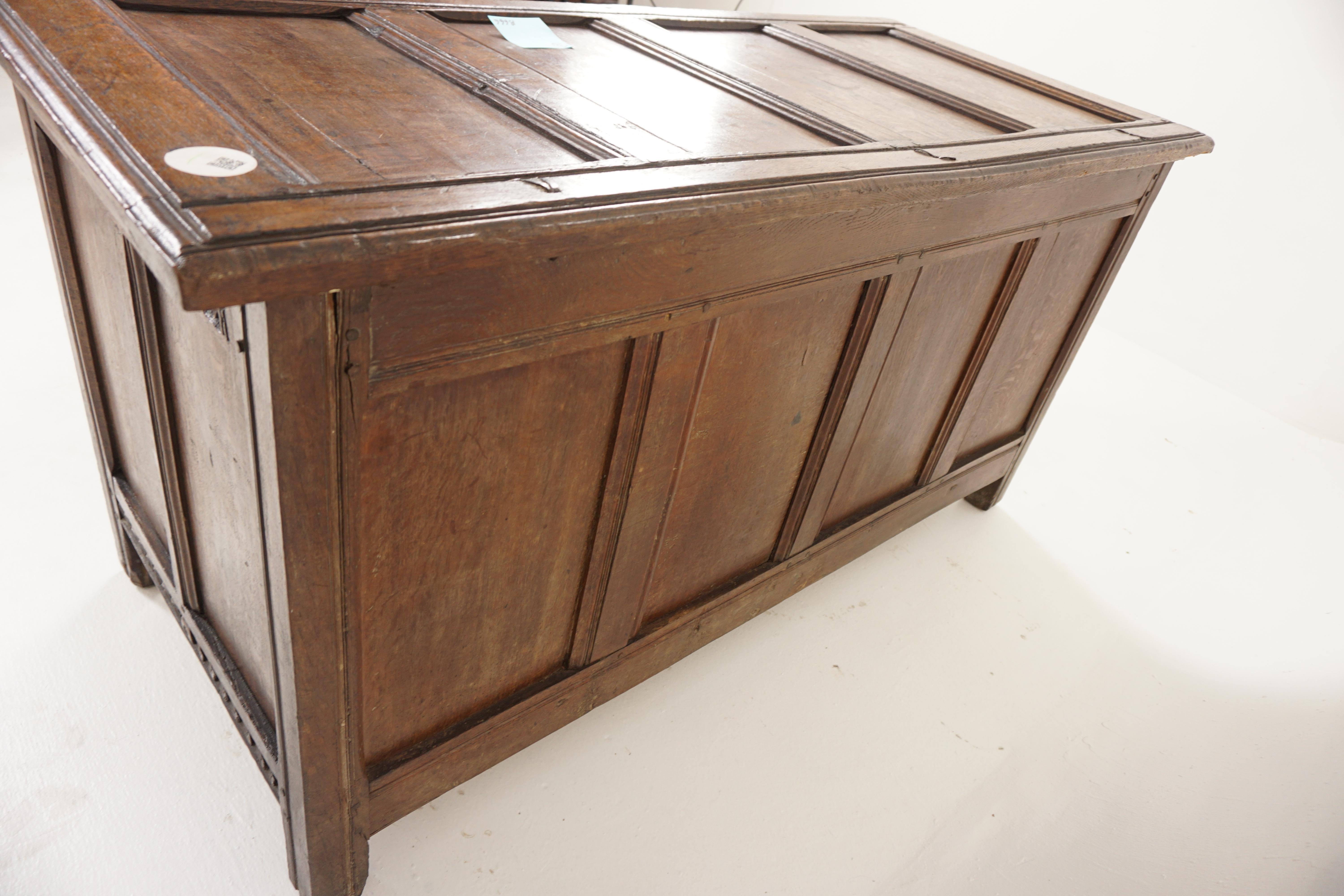 18th Carved Oak Panelled Coffer, Trunk, Chest, Freestanding, Scotland 1780, H666 For Sale 5