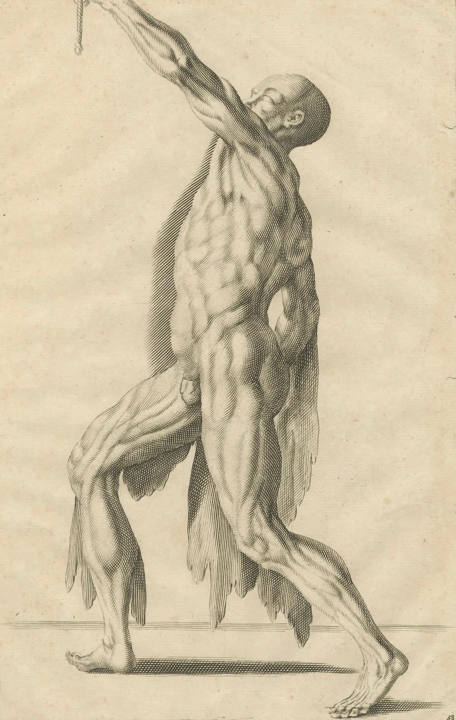 18th Century Anatomical Male Figure Reaching Upward German Engraving, ca.1745