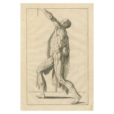 18th Century Anatomical Male Figure Reaching Upward German Engraving, ca.1745