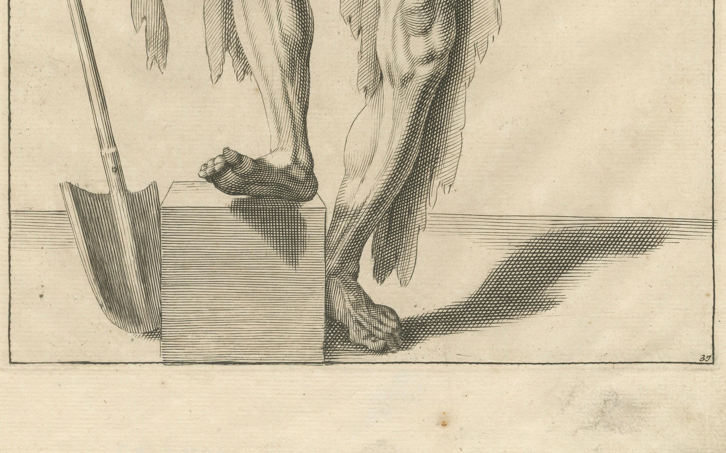 18th Century Anatomical Male Figure Study with Raised Arm German Engraving c1745