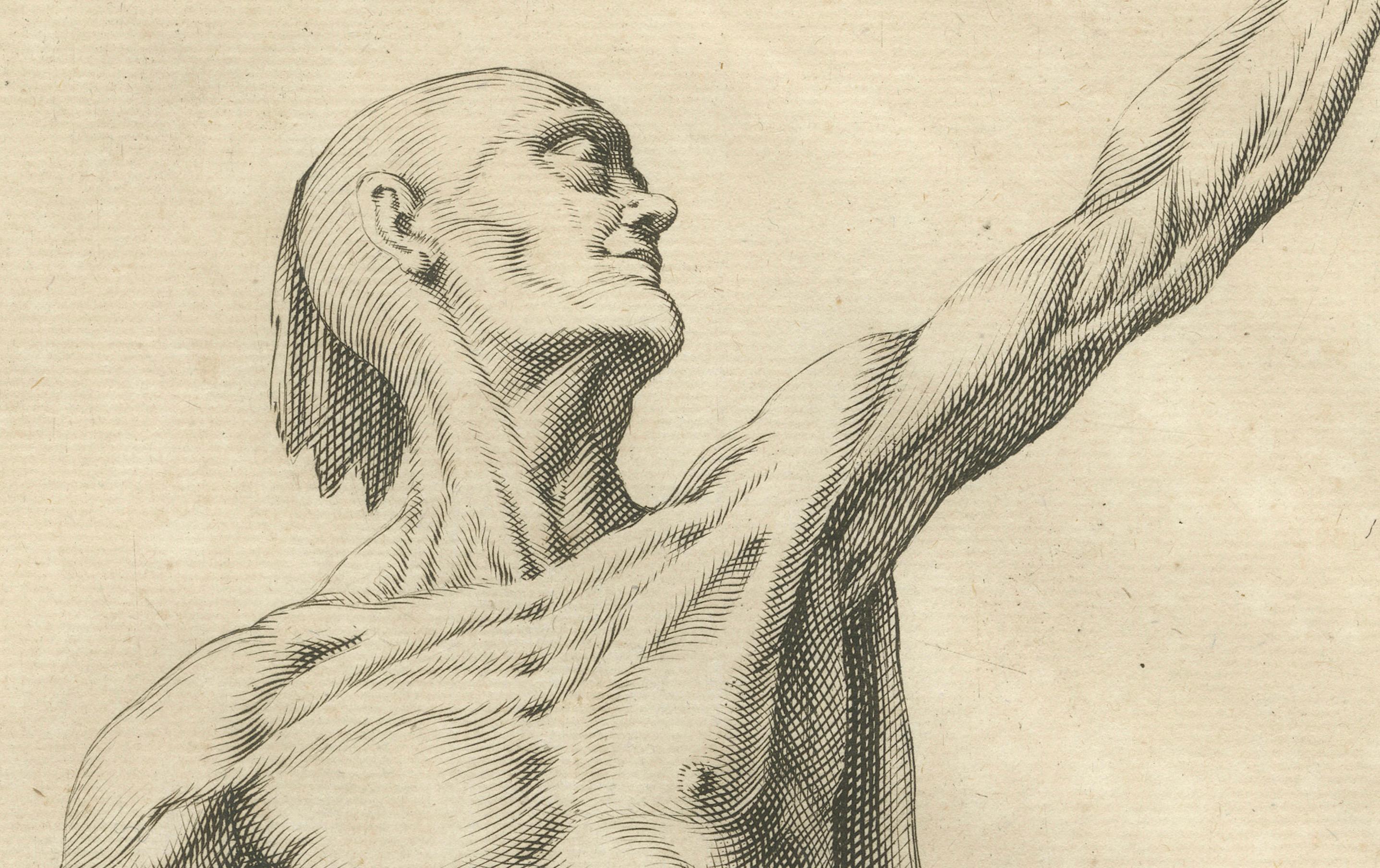 18th Century Anatomical Male Figure Study with Raised Arm German Engraving c1745