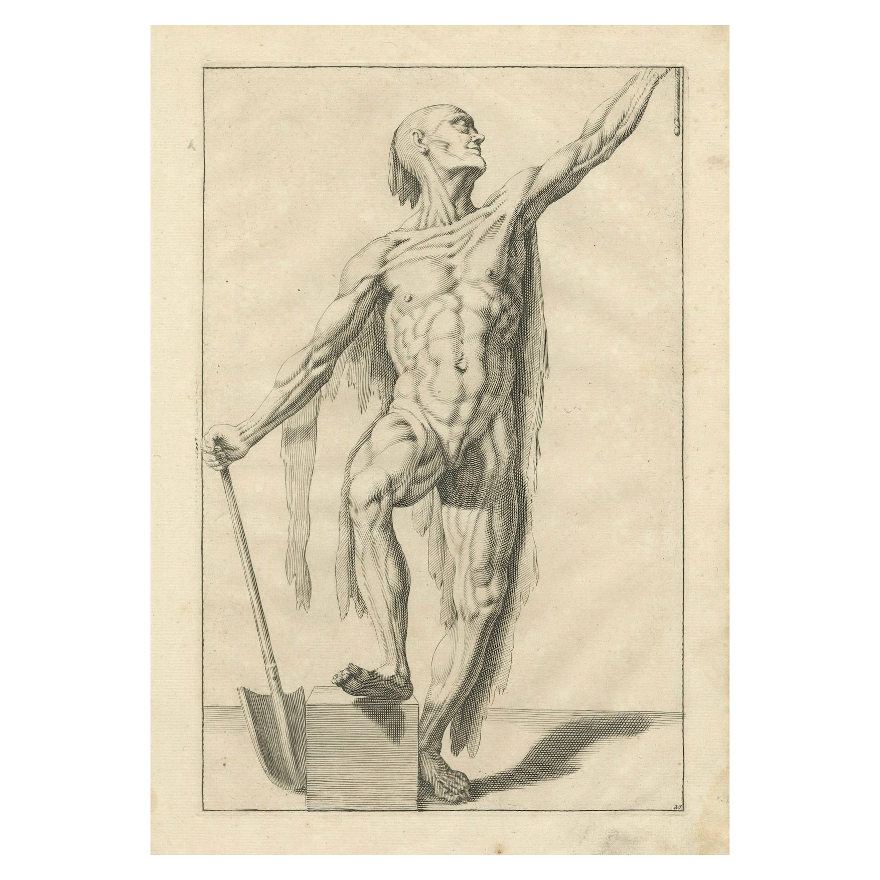 18th Century Anatomical Male Figure Study with Raised Arm German Engraving c1745 im Angebot