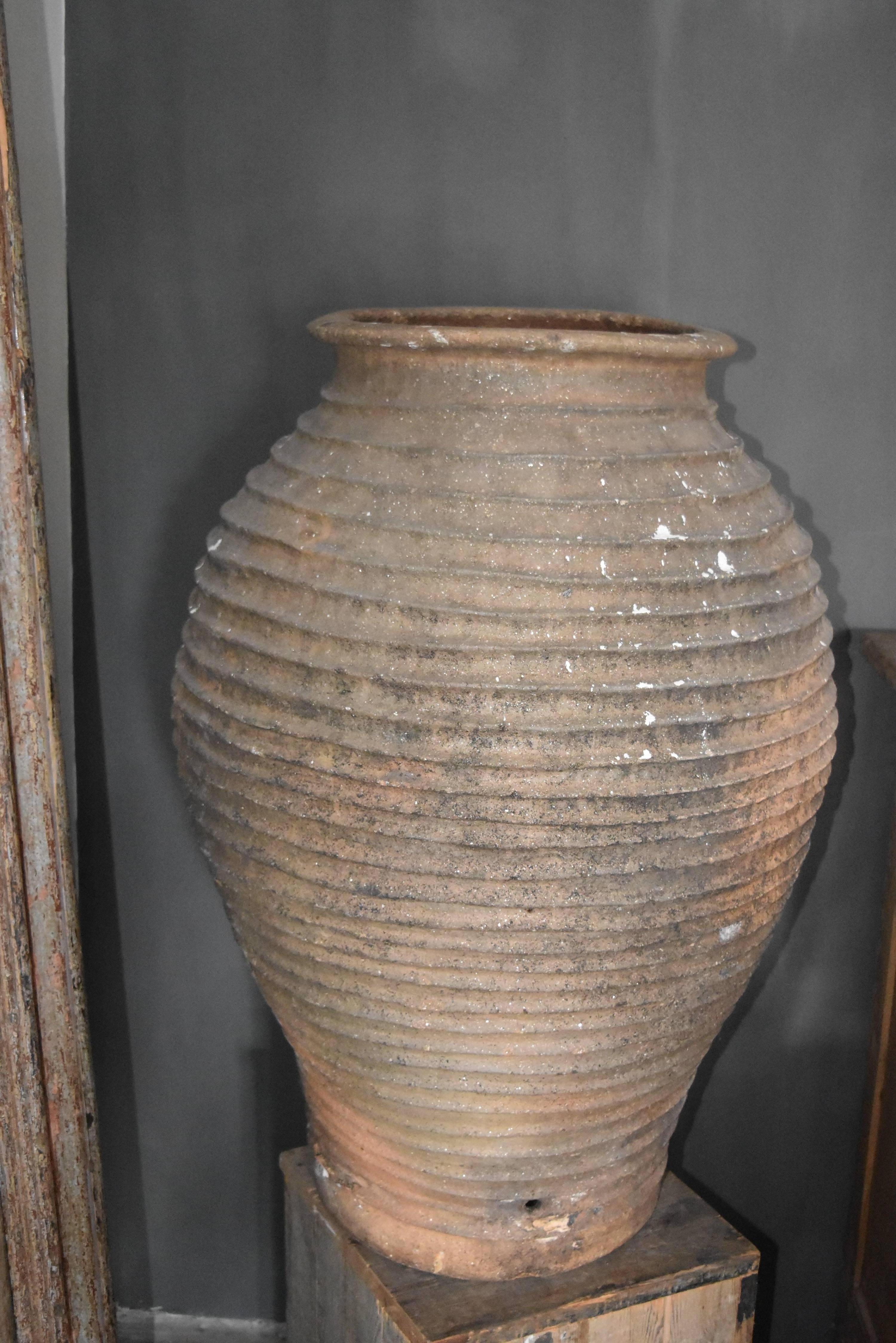 18th Century Andalusian Terra Cotta Ribbed Olive Jar from Spain 5