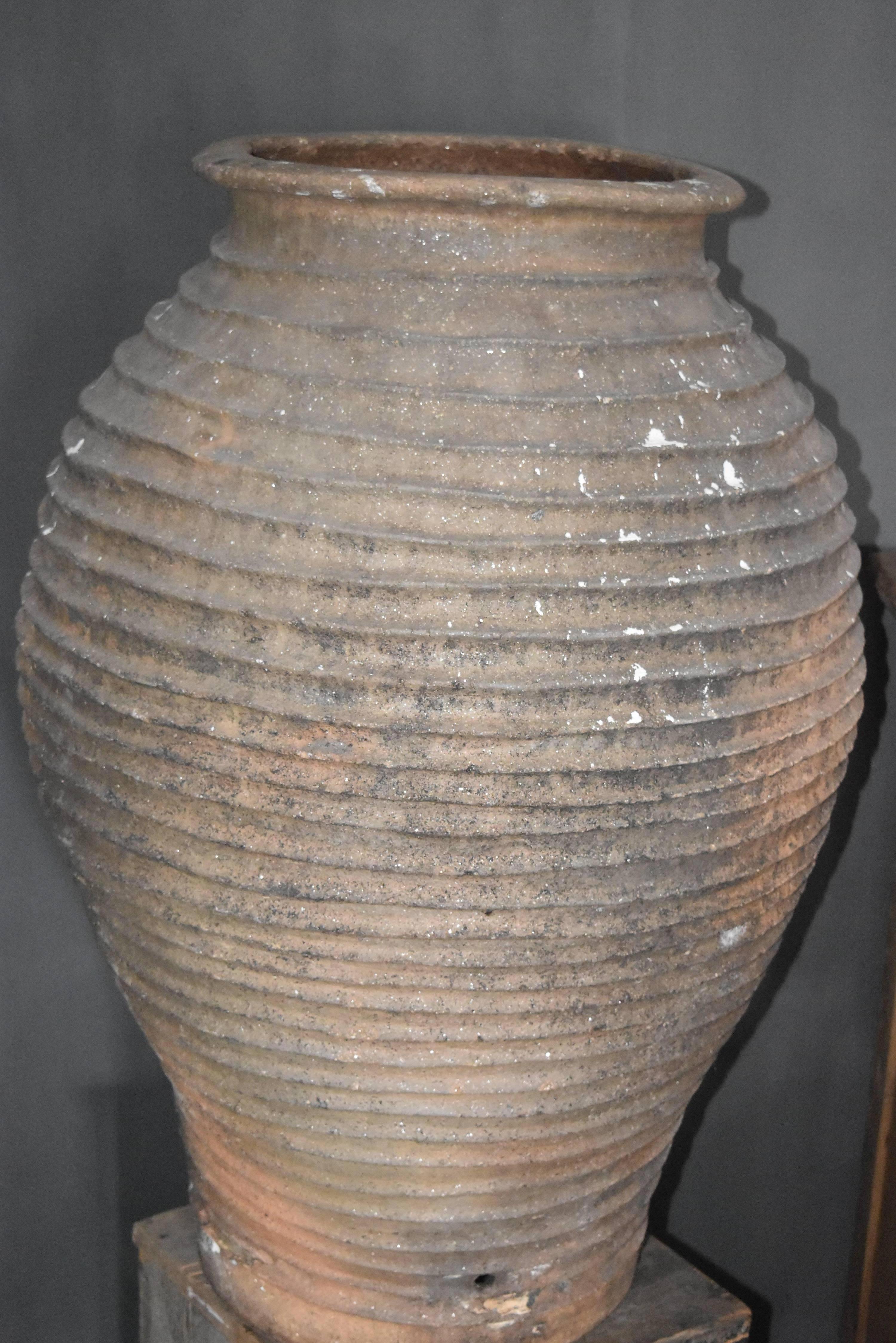 andalusischer gerippter Olivenkrug aus Terrakotta aus dem 18 1