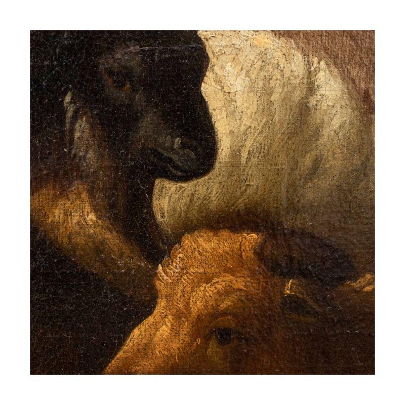 18th Century Animals Painting Oil on Canvas area of Londonio In Good Condition In Milan, IT