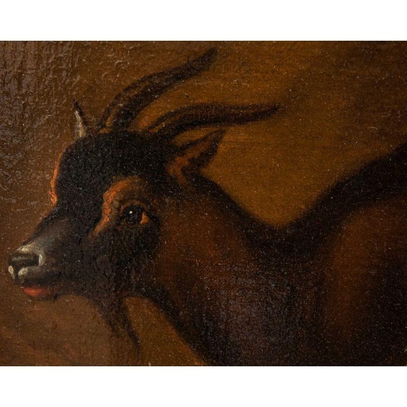 18th Century and Earlier 18th Century Animals Painting Oil on Canvas area of Londonio