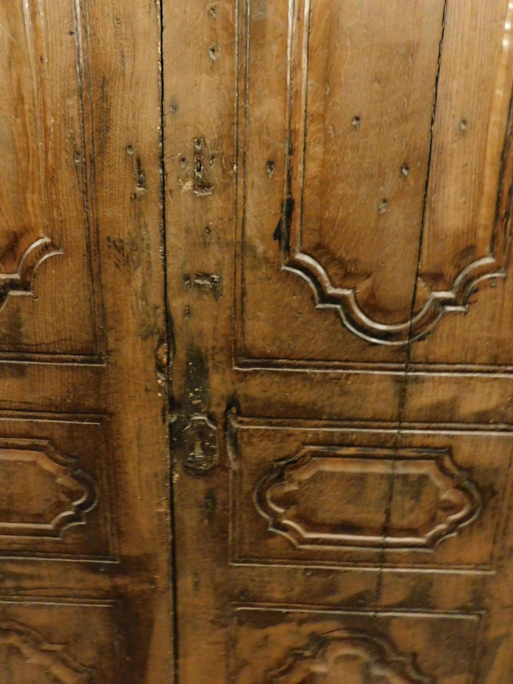 Italian 18th Century Antique Chestnut Wood Door with Original Frame, Italy