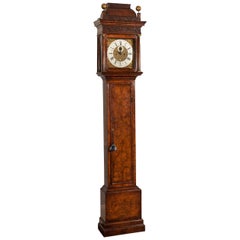 Reloj antiguo de caja larga de nogal del siglo XVIII de Daniel Delander de Londres