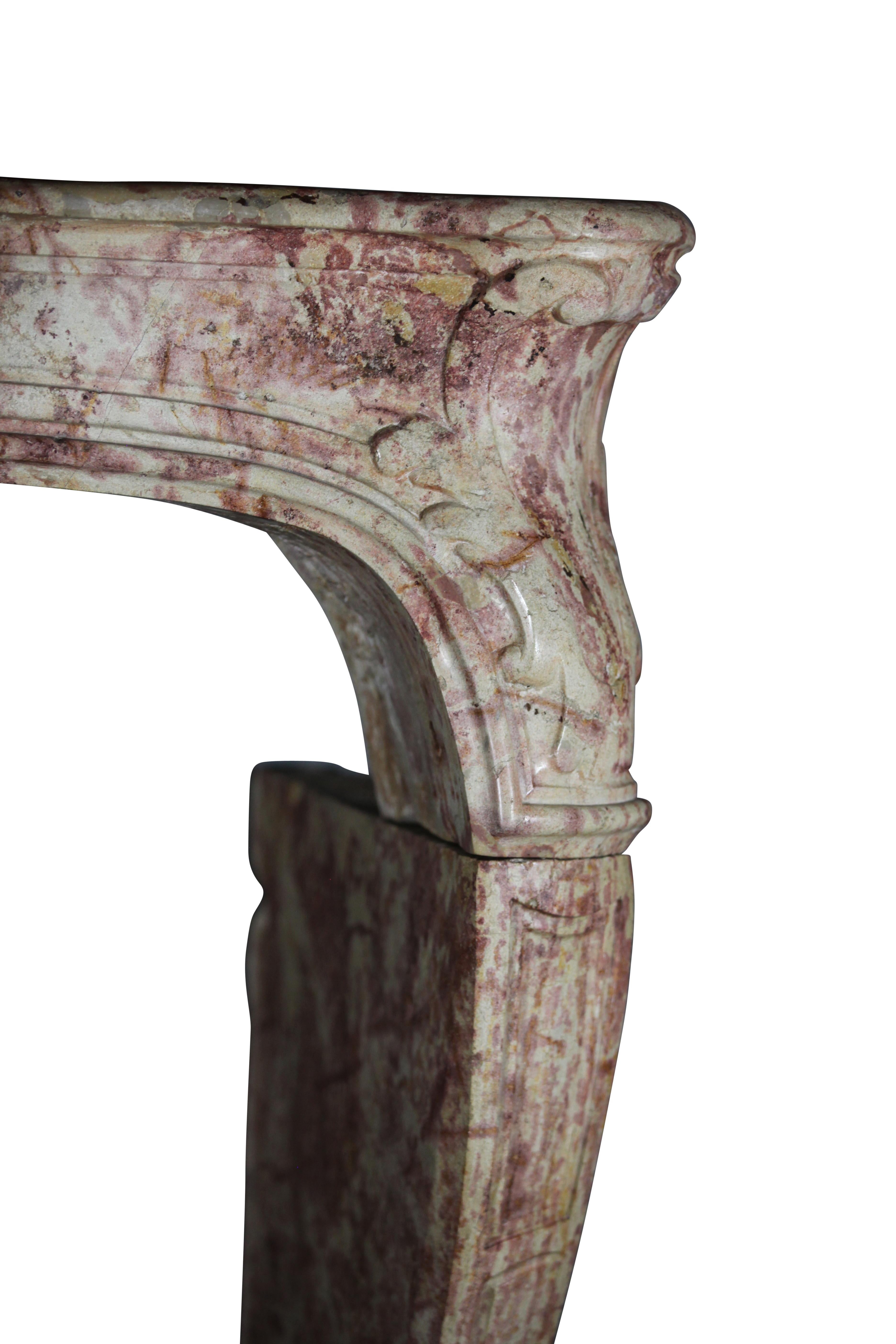 Revestimiento de chimenea de gran castillo francés antiguo del siglo XVIII en Excelente estado para la venta en Beervelde, BE
