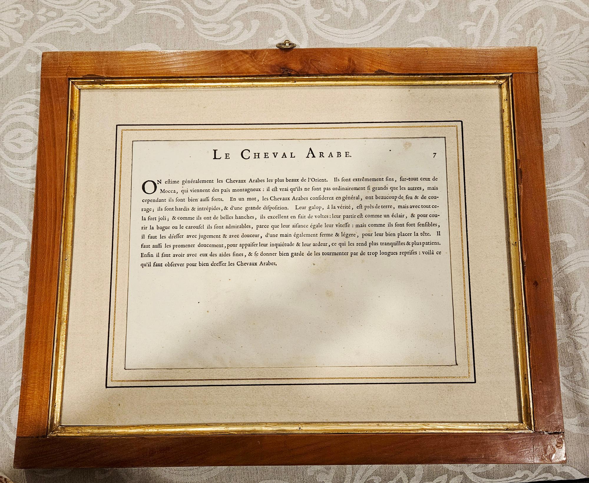 Siglo XVIII, Grabados antiguos de caballos del barón D'Eisenberg - Conjunto de cuatro en venta 4