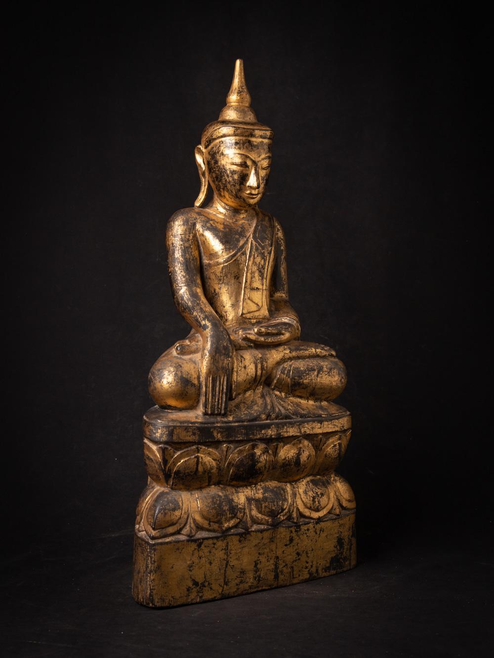 18th century antique wooden Burmese Shan Buddha in Bhumisparsha Mudra  For Sale 11