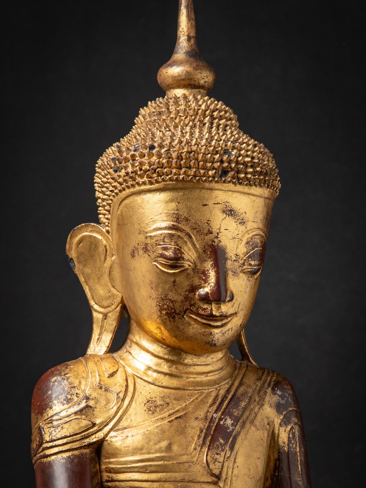 18th century Antique wooden Burmese Shan Buddha in Bhumisparsha Mudra For Sale 13