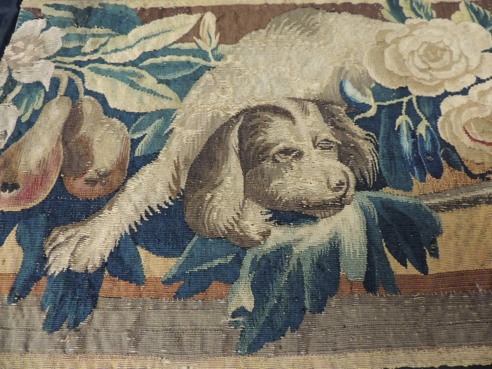 18Th Century Aubusson Tapestry Depicting Dog Fragment.
Tapestry panel depicting Spaniel dog surrounded by green leaves, arms, flowers and fruits.
Sold as is. (Last image shows some restoration done)
Size: 13