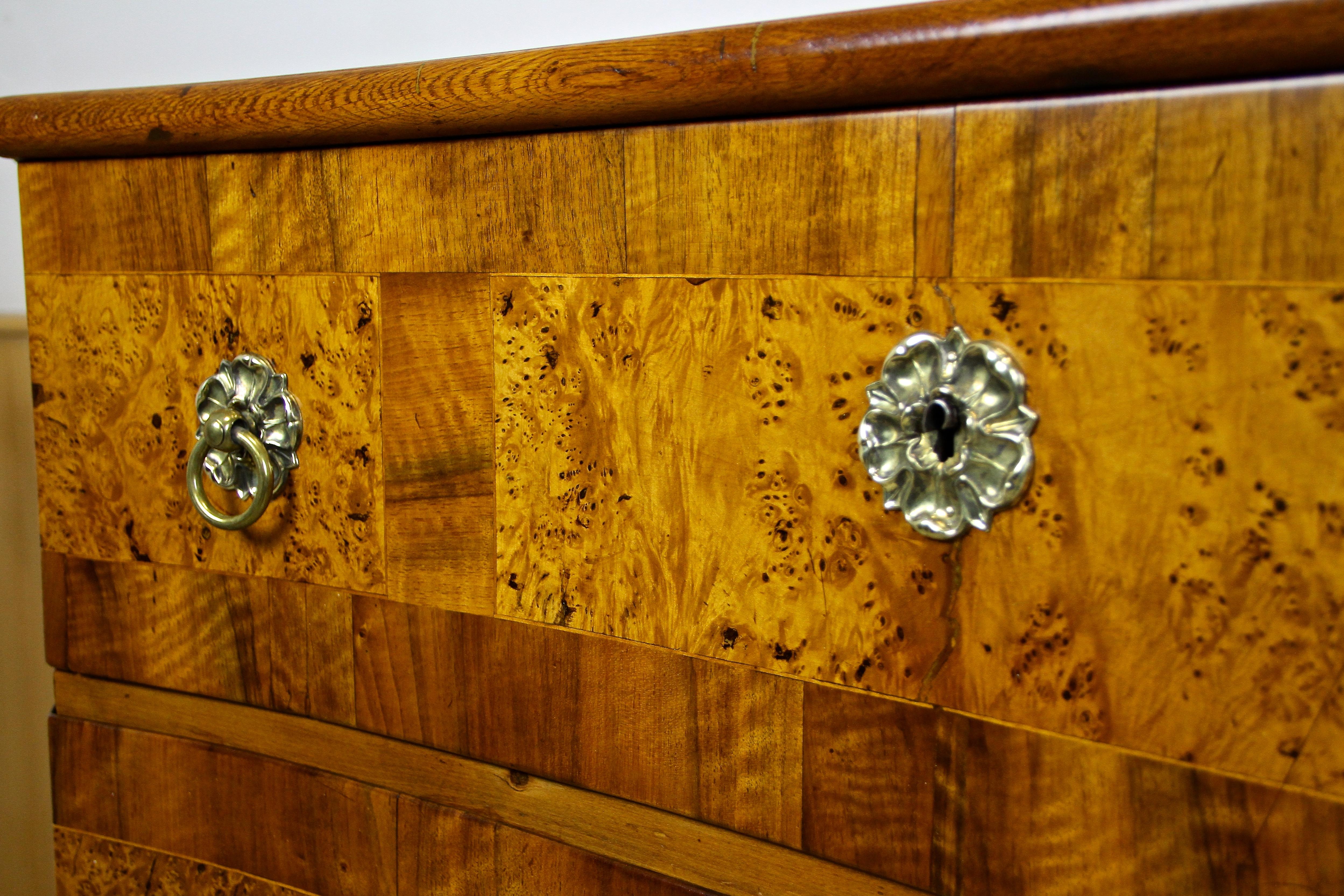 18th Century Baroque Chest of Drawers, Austria, circa 1760 9